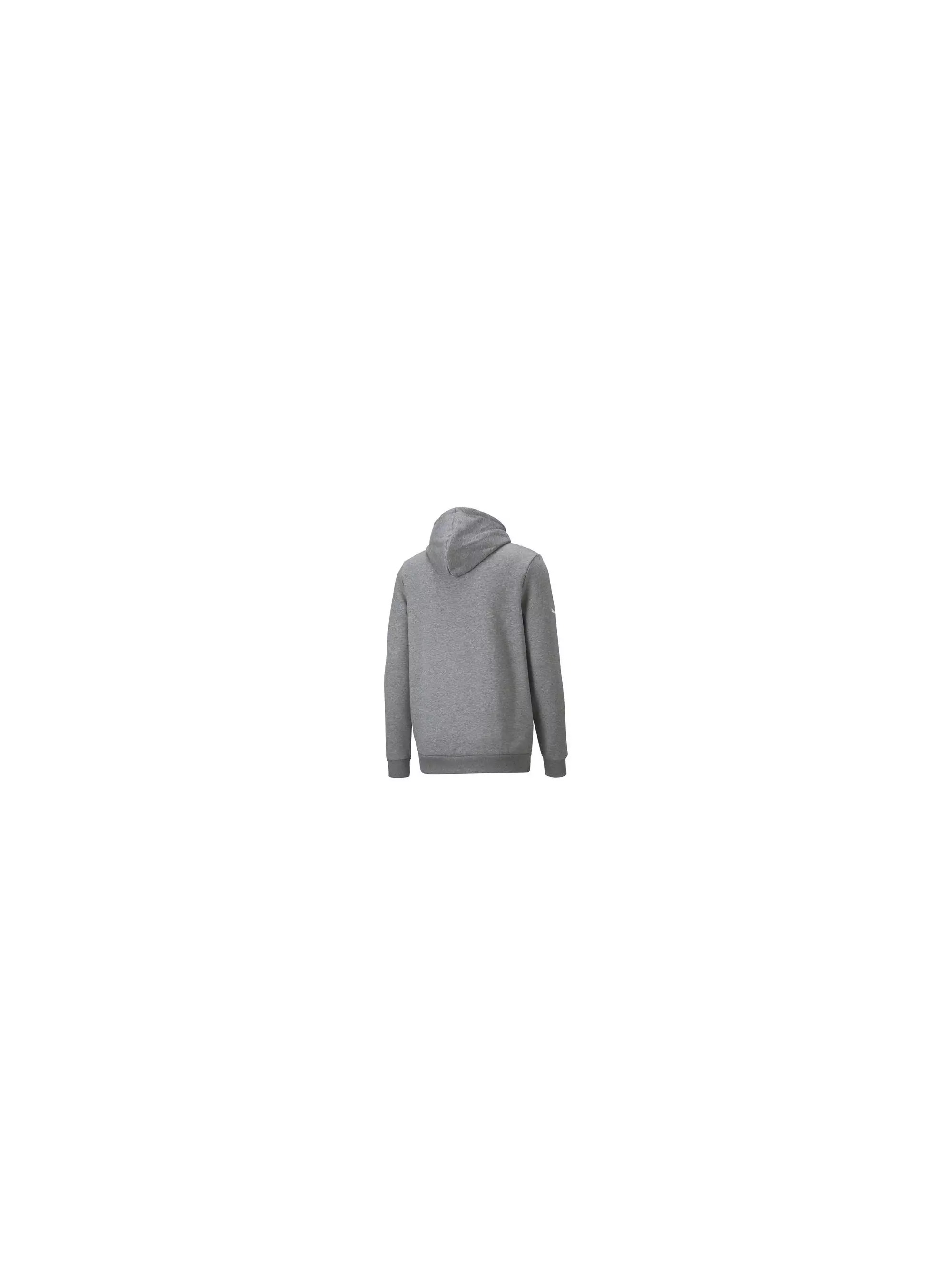 Puma BMW MMS ESS FLEECE HOODIE 53624303