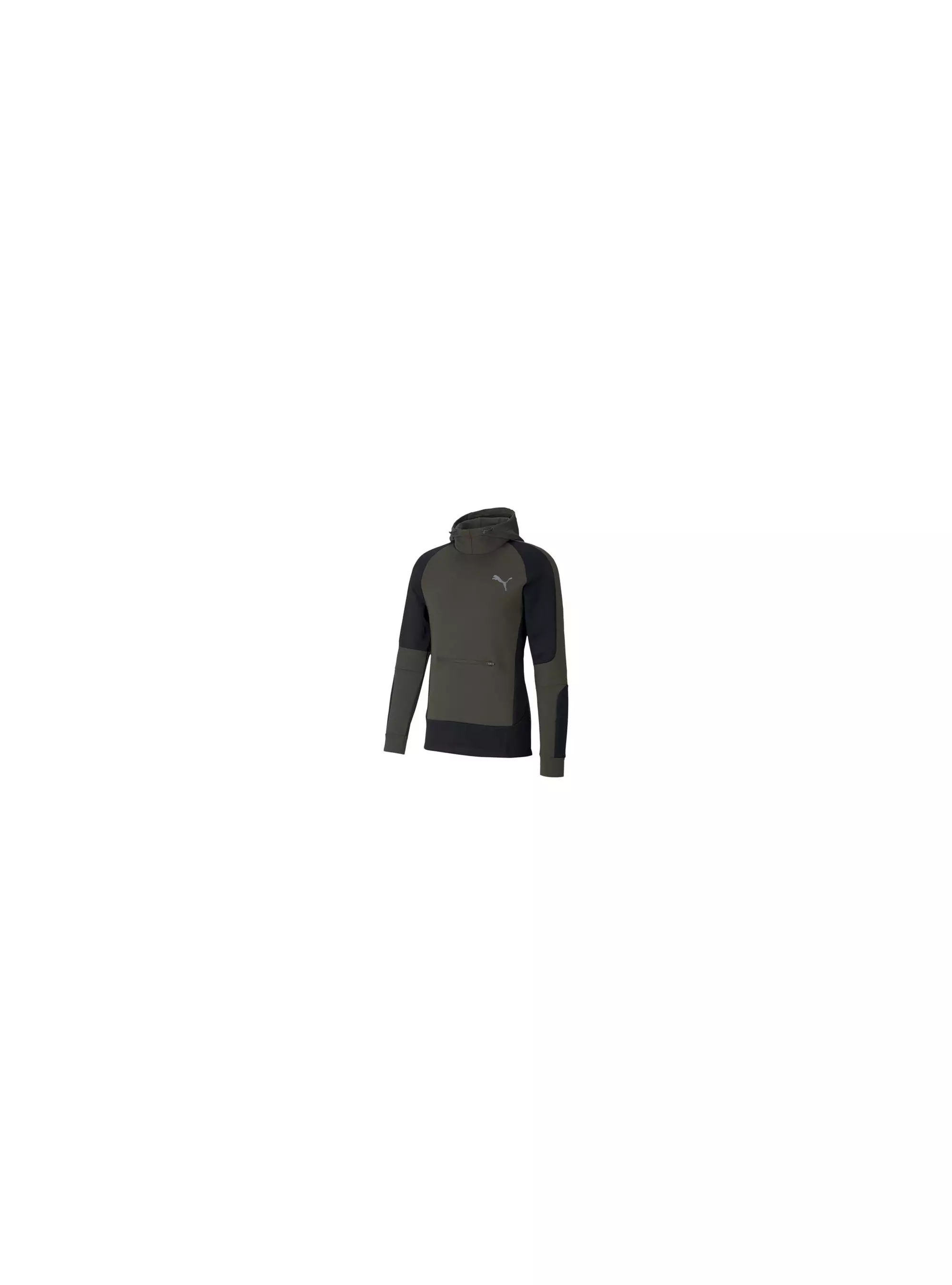 Puma EVOSTRIPE HOODIE 58346570