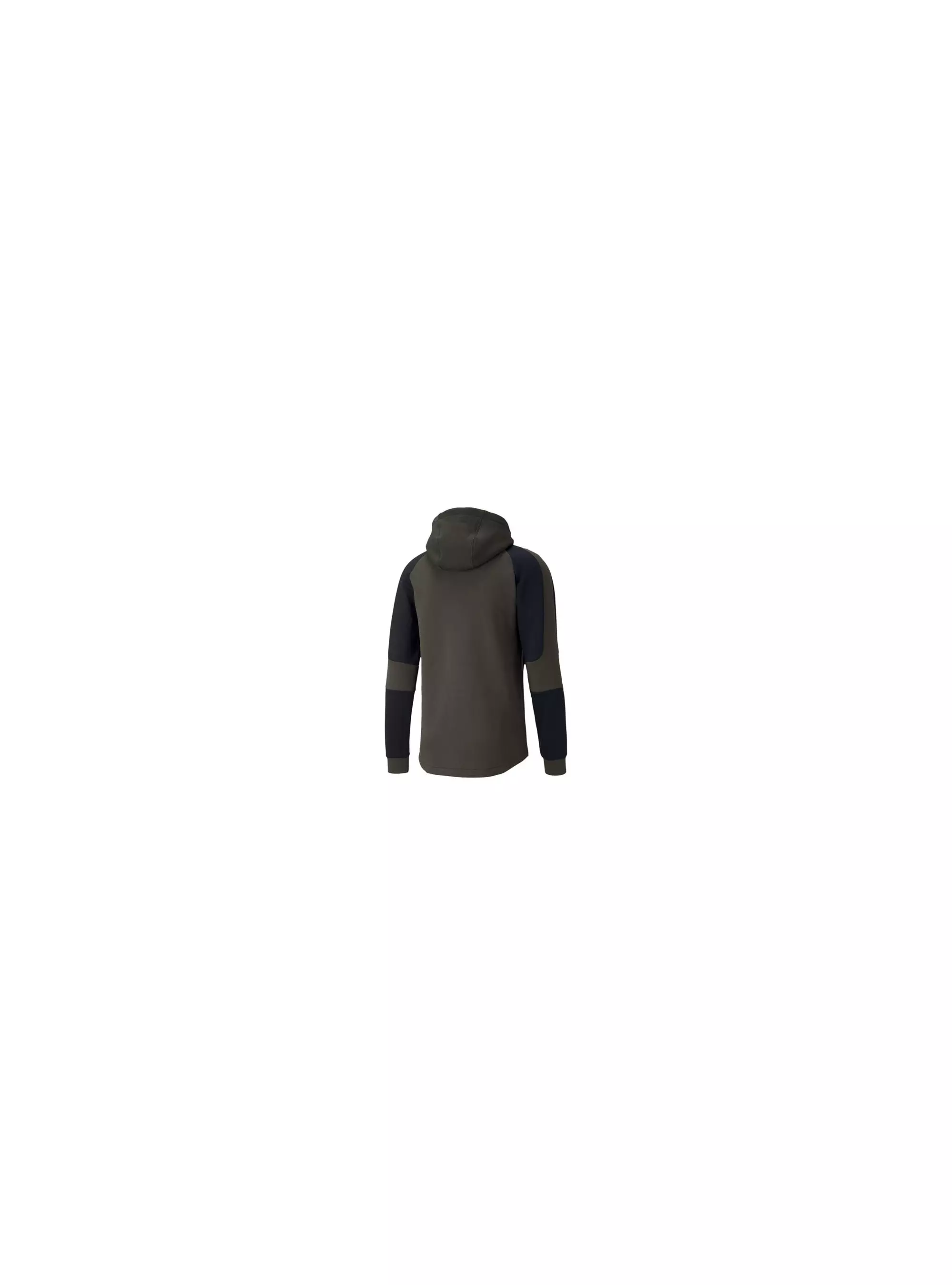 Puma EVOSTRIPE HOODIE 58346570