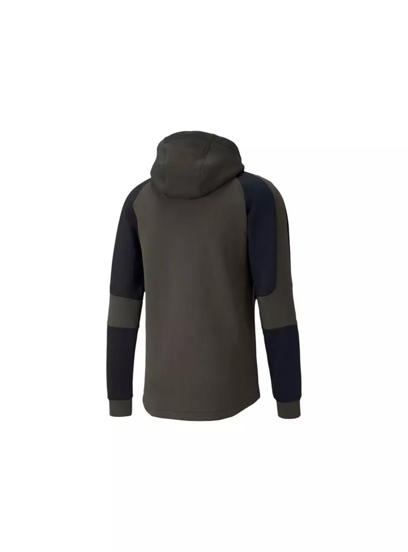 Puma EVOSTRIPE HOODIE 58346570