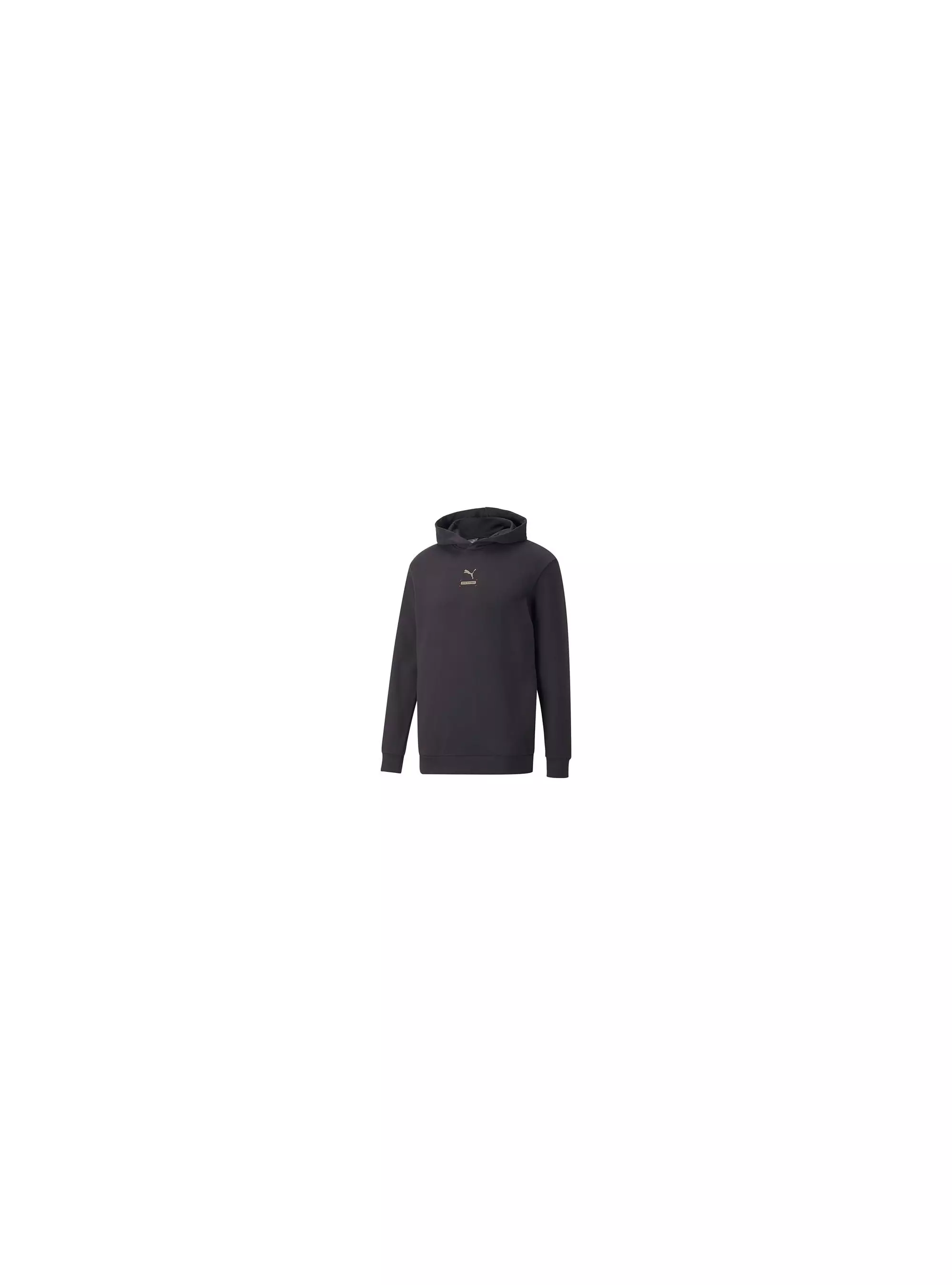 Puma BETTER HOODIE FL 67002775
