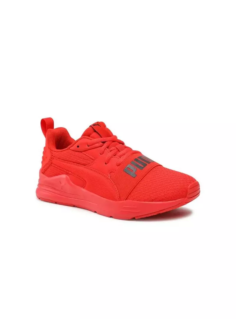 Puma WIRED RUN PURE JR 39084705