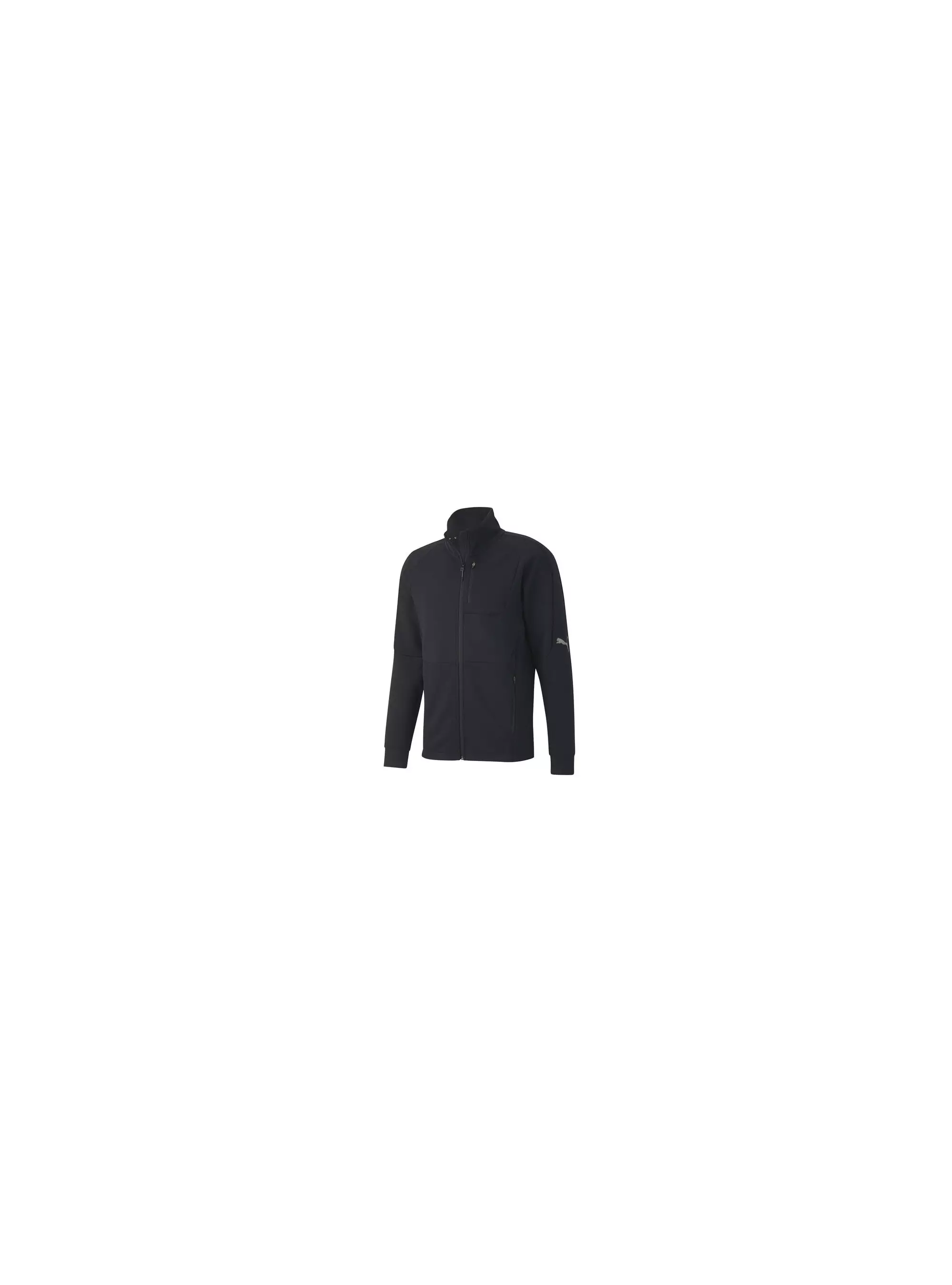 Puma EVOSTRIPE TRACK JKT 58346601