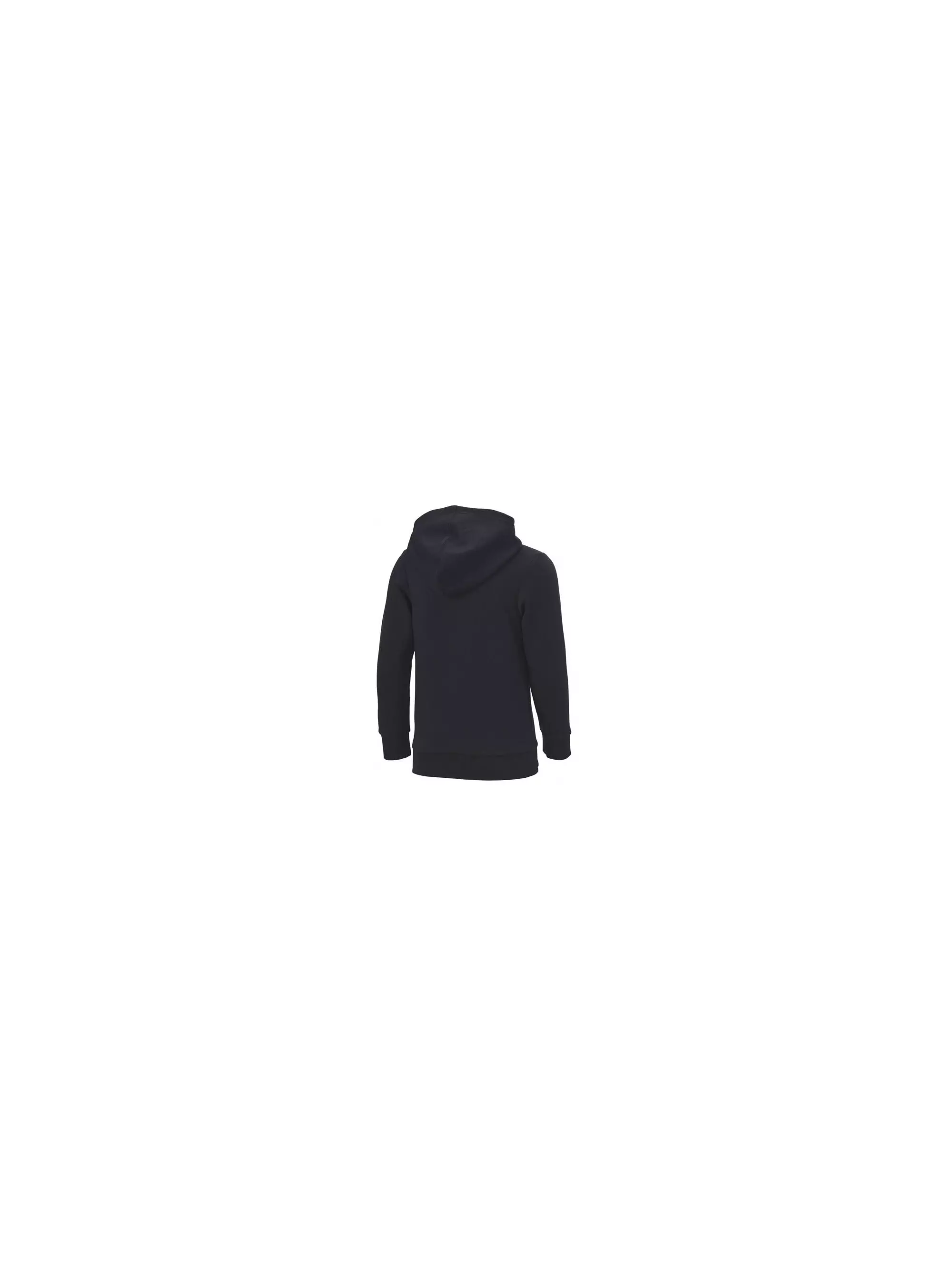 Champion HOODED SWEATSHIRT 305784KK001