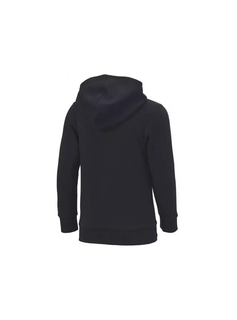 Champion HOODED SWEATSHIRT 305784KK001
