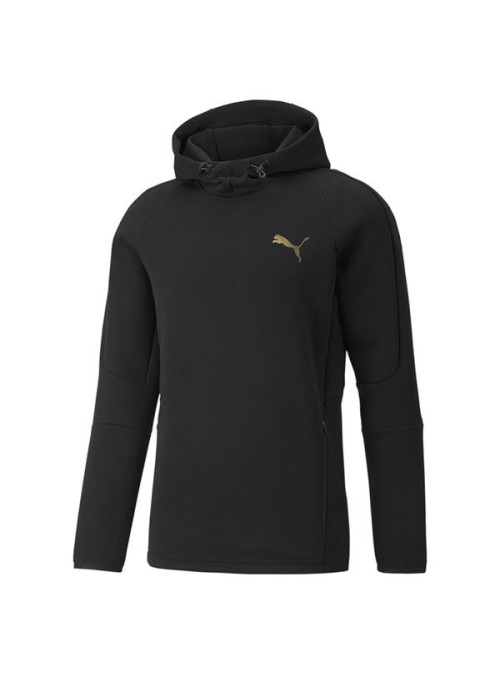 Puma EVOSTRIPE HOODIE 58942251