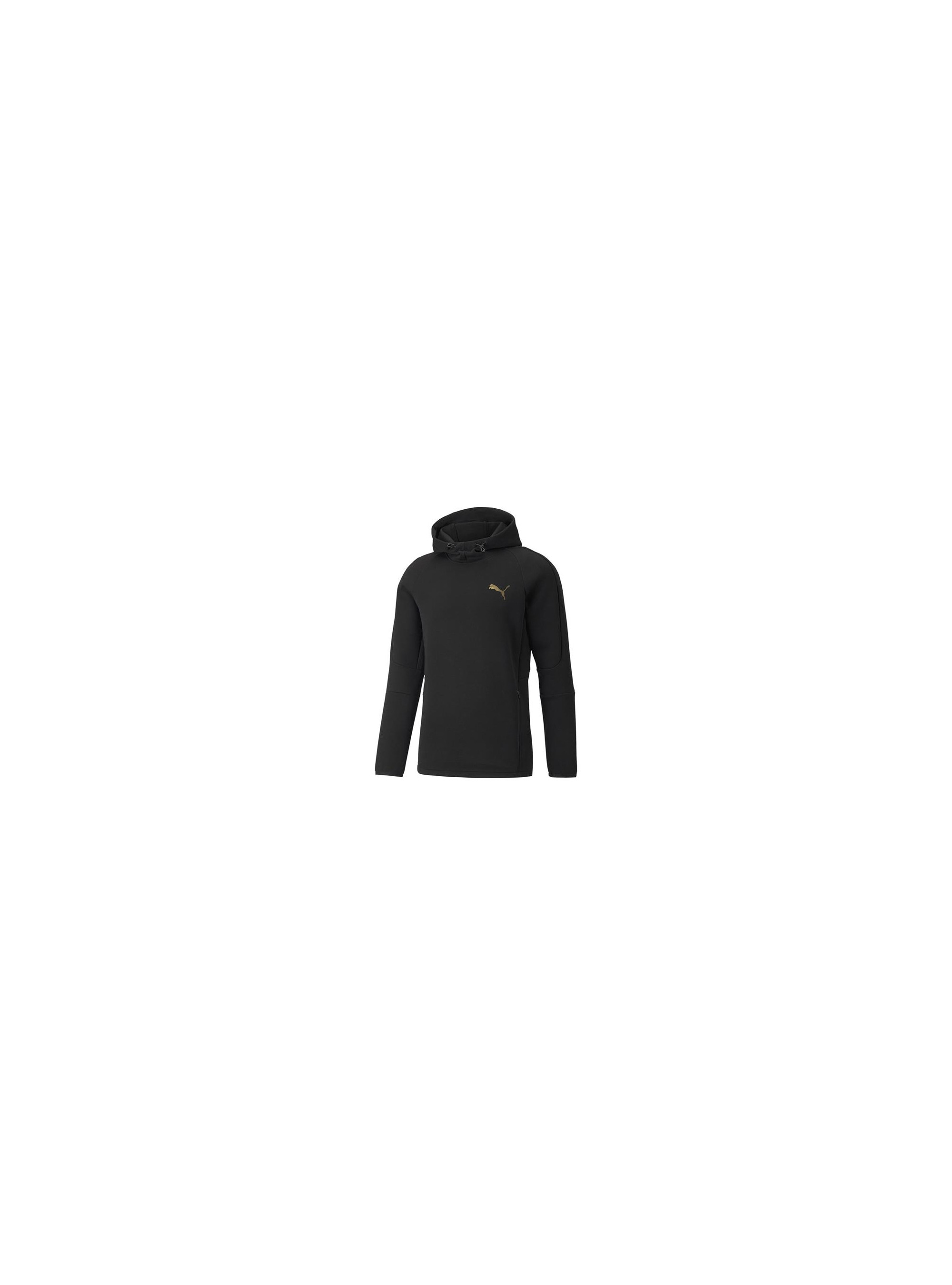 Puma EVOSTRIPE HOODIE 58942251