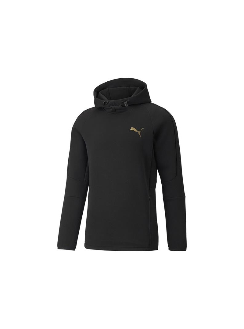 Puma EVOSTRIPE HOODIE 58942251