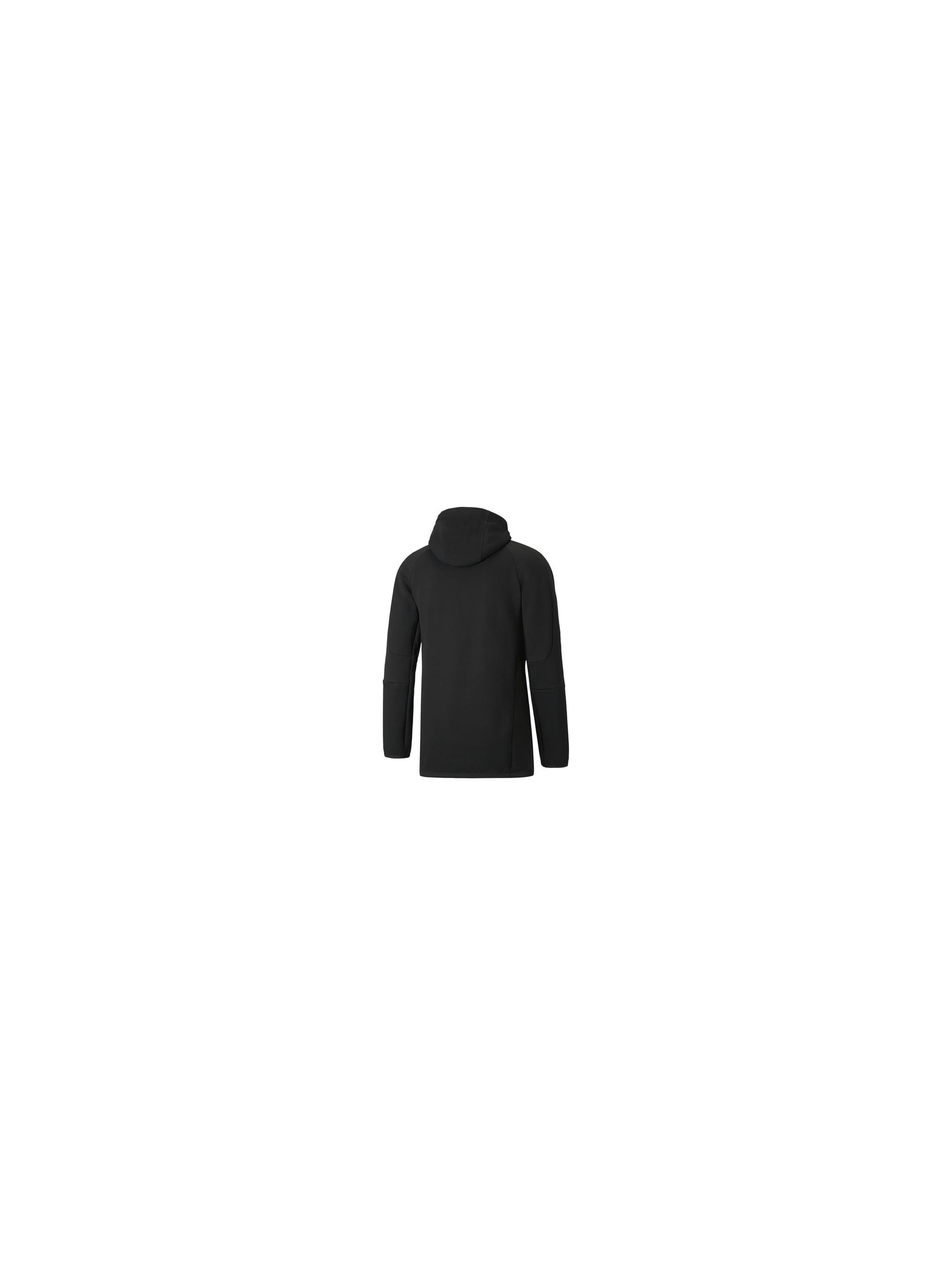 Puma EVOSTRIPE HOODIE 58942251