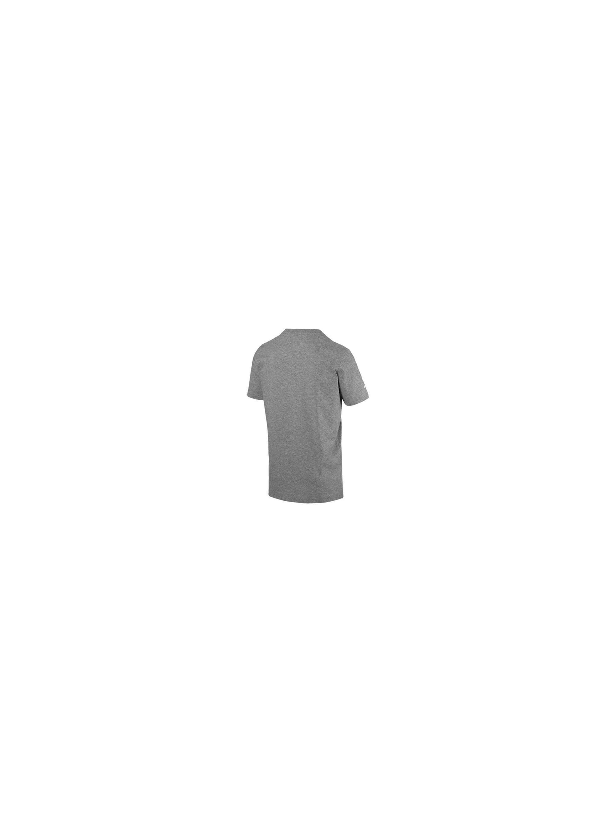 Puma BMW MMS LOGO TEE 59536903