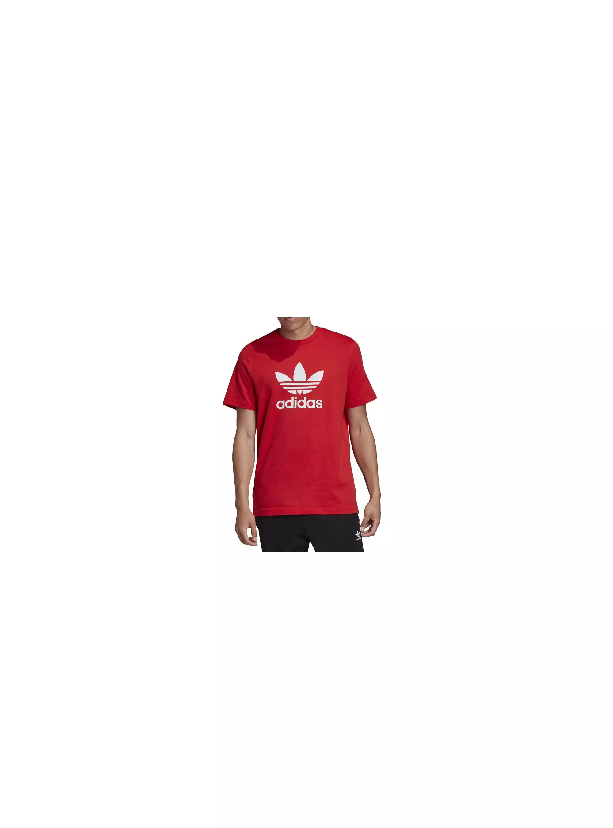 Adidas TREFOIL T-SHIRT FM3791
