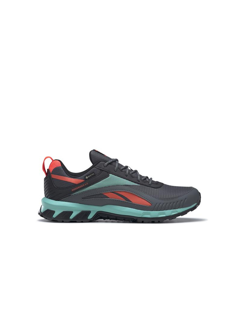 Reebok RIDGERIDER 6 GTX GX2245