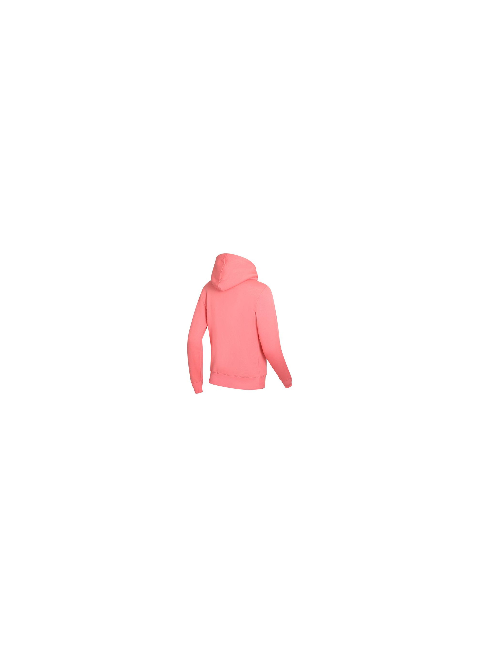 Champion HOODED SWEATSHIRT 115687PS171