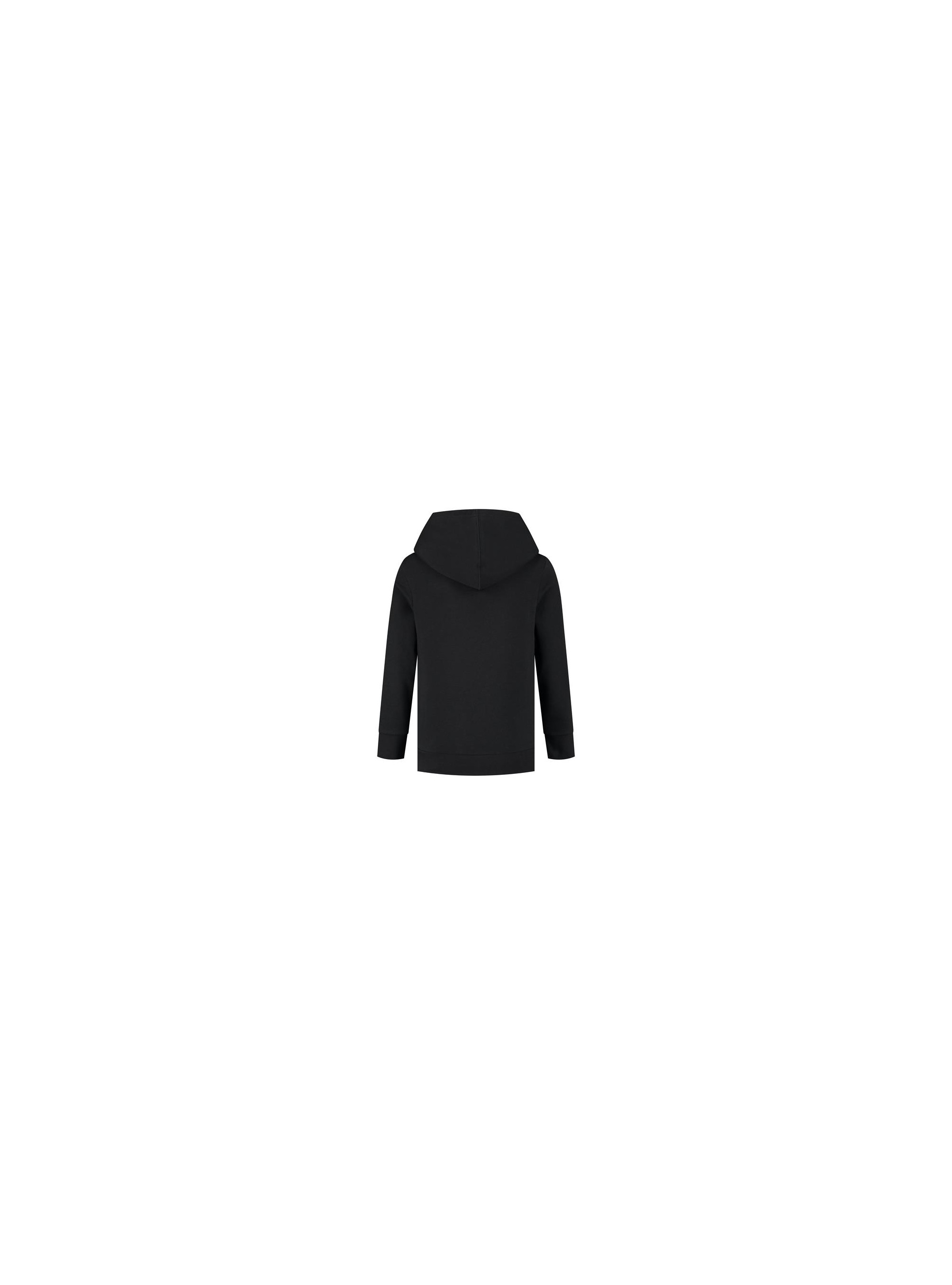Champion HOODED SWEATSHIRT 305903KK001