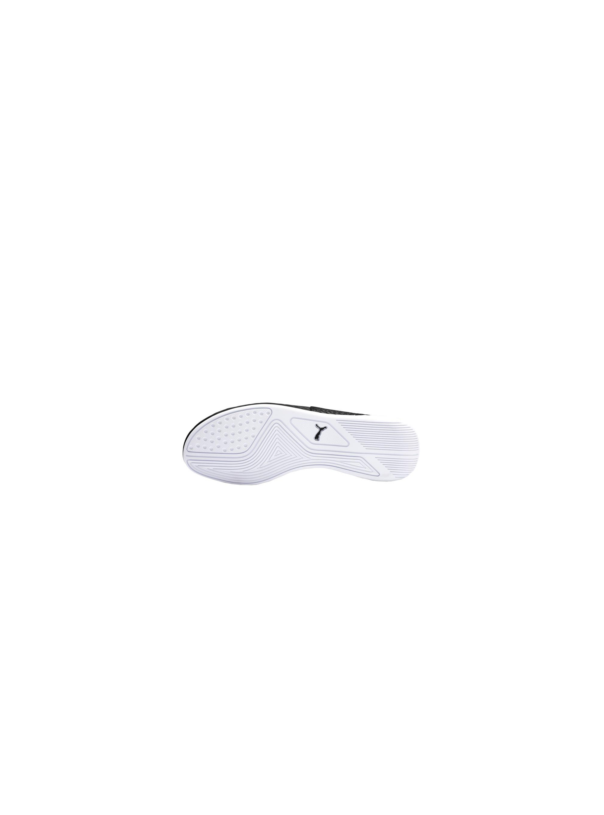 Puma BMW MMS DRIFT CAT 30644101