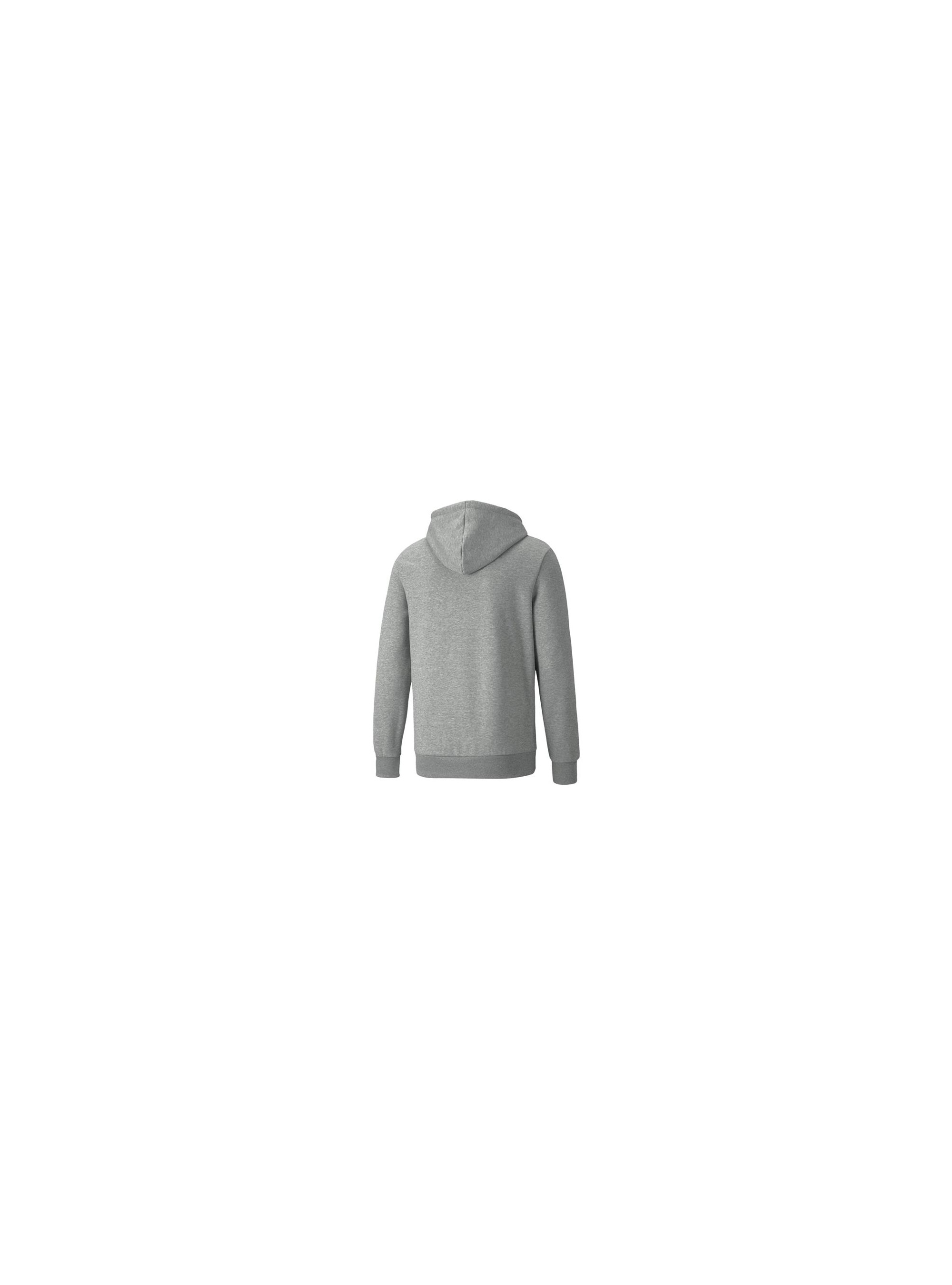 Puma BMW MMS ESS FLEECE HOODIE 53225003