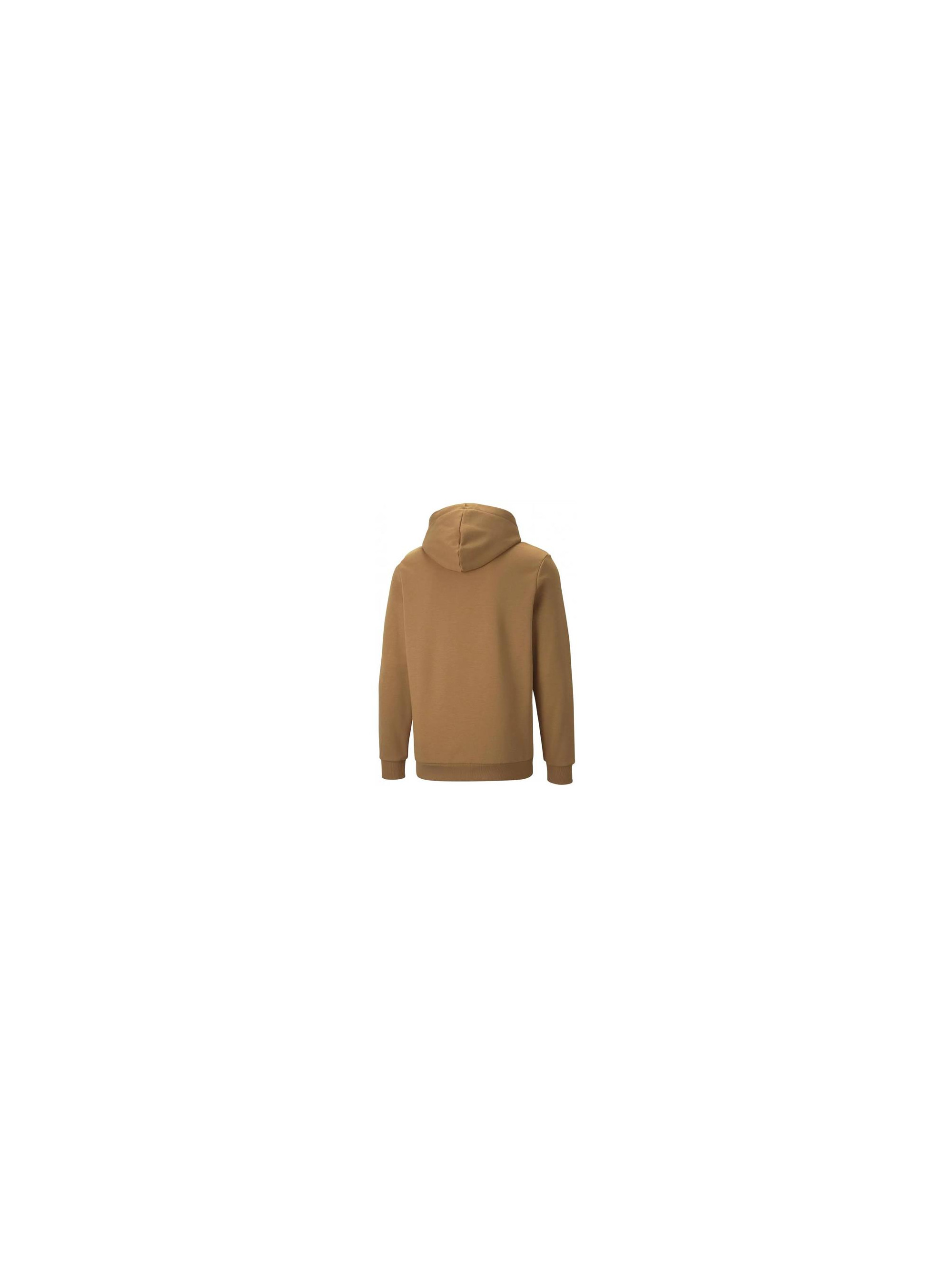Puma ESS SMALL LOGO HOODIE FL 58669196