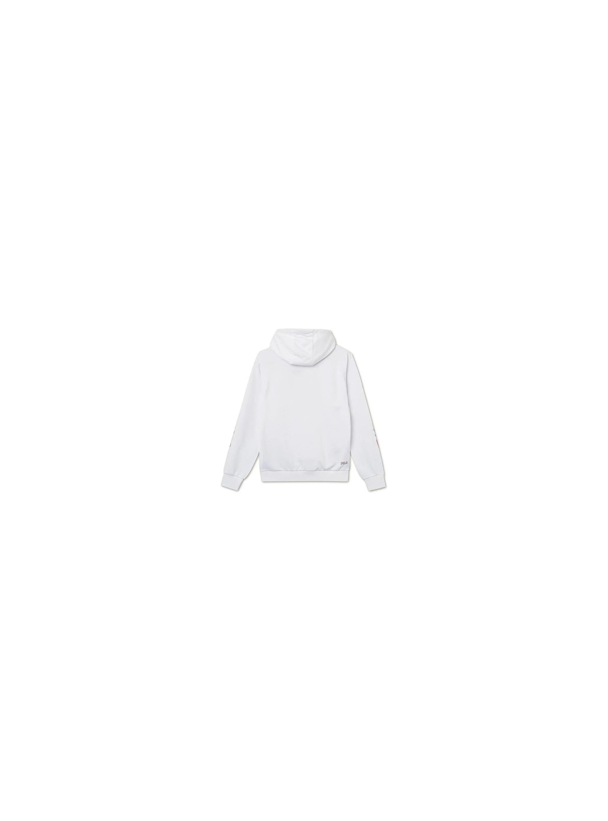 Fila JANKO GRAPHIC HOODY 683273M67