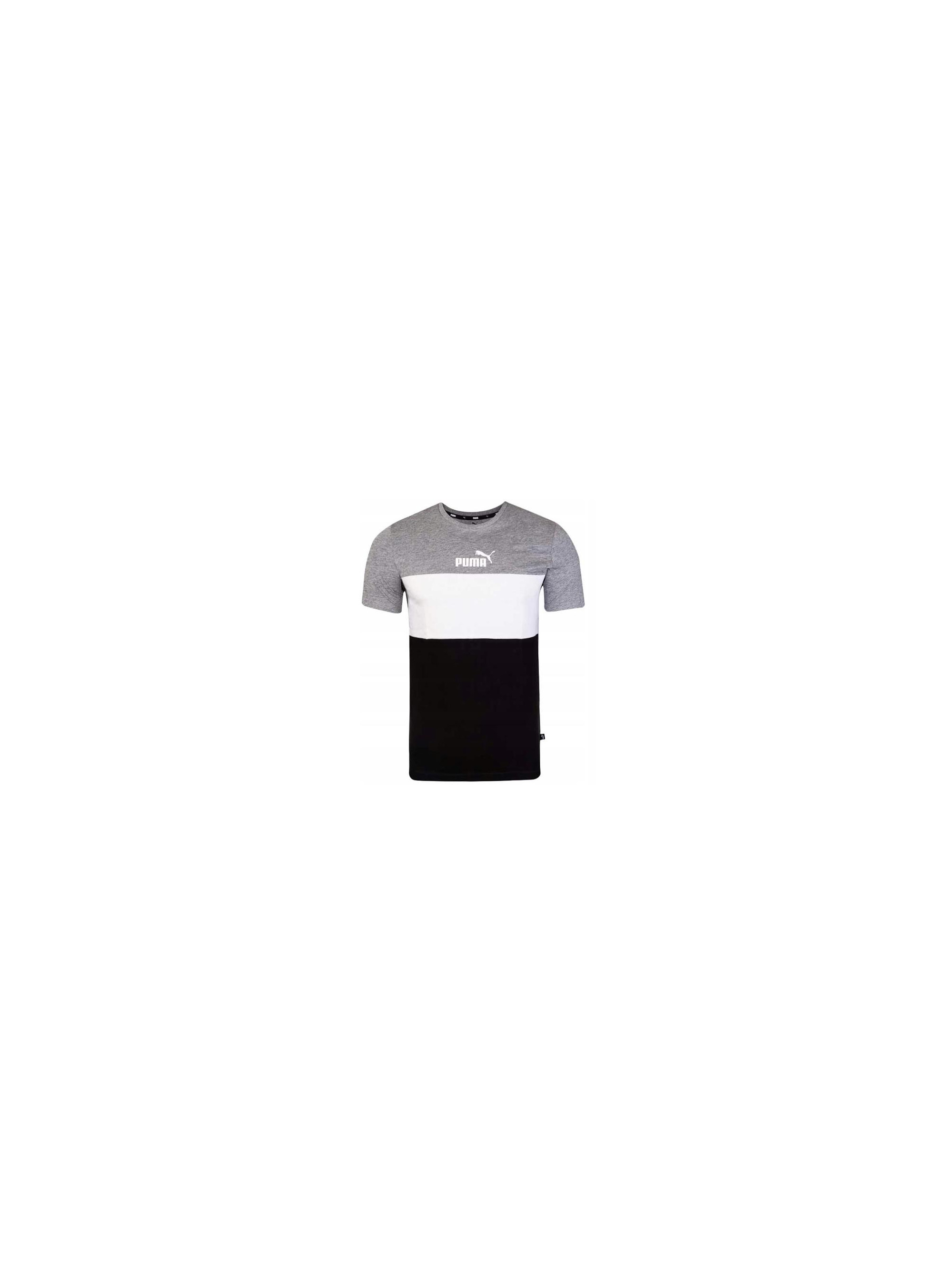 Puma ESS+ COLORBLOCK TEE 58690803