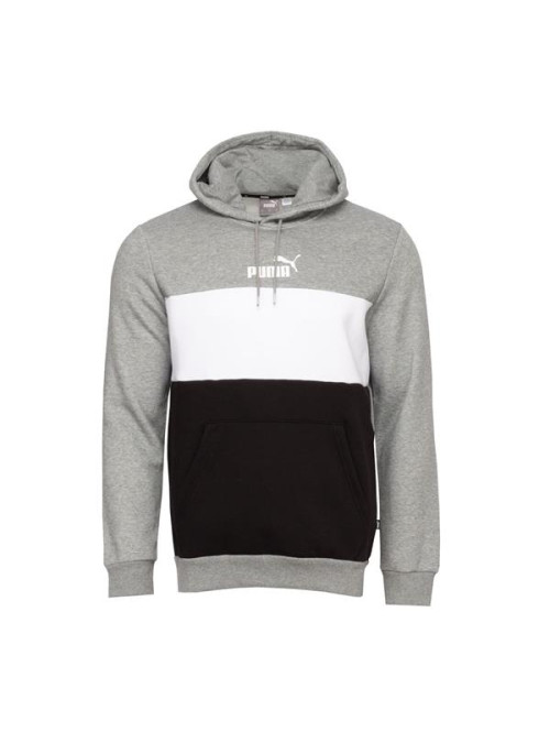 Puma ESS+ COLORBLOCK HOODIE 58791703
