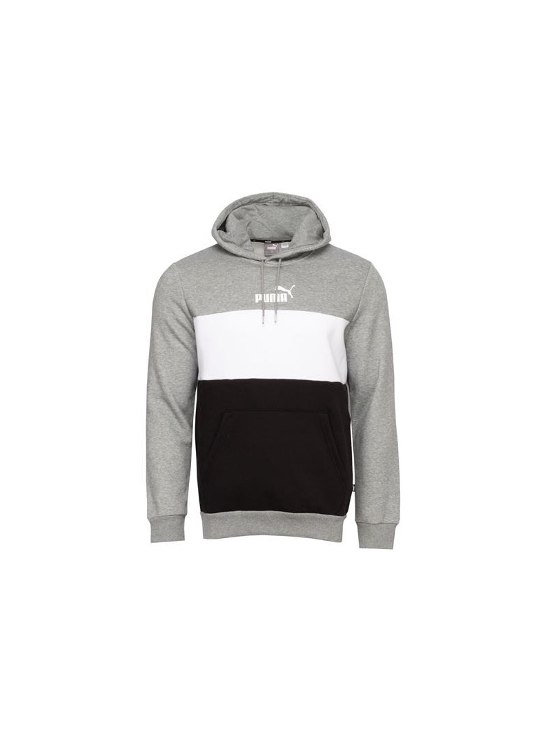 Puma ESS+ COLORBLOCK HOODIE 58791703