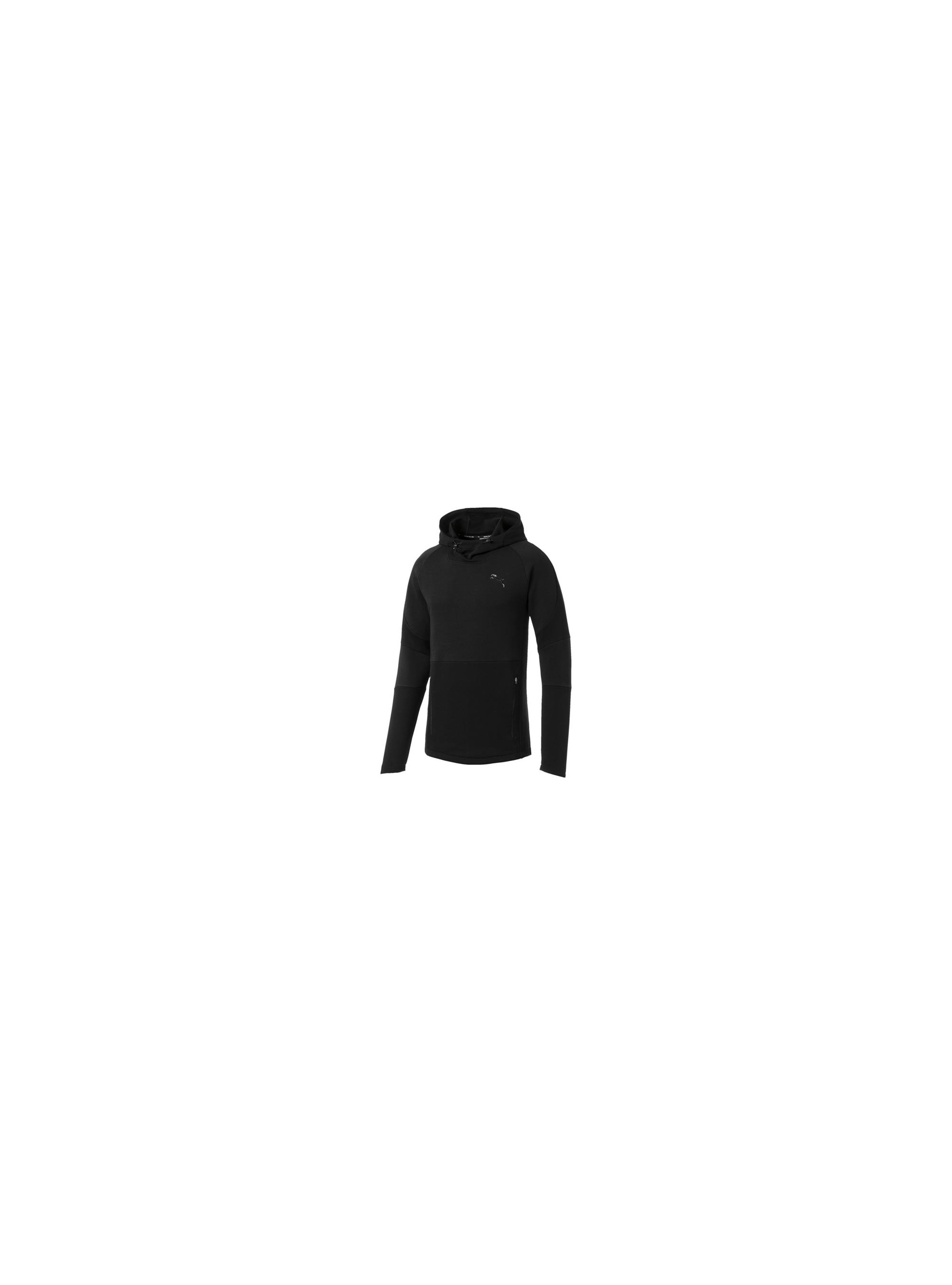 Puma EVOSTRIPE MOVE HOODY 85410701