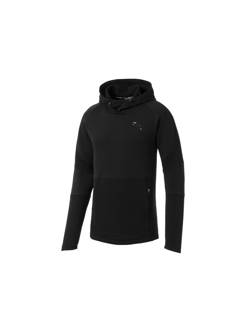 Puma EVOSTRIPE MOVE HOODY 85410701