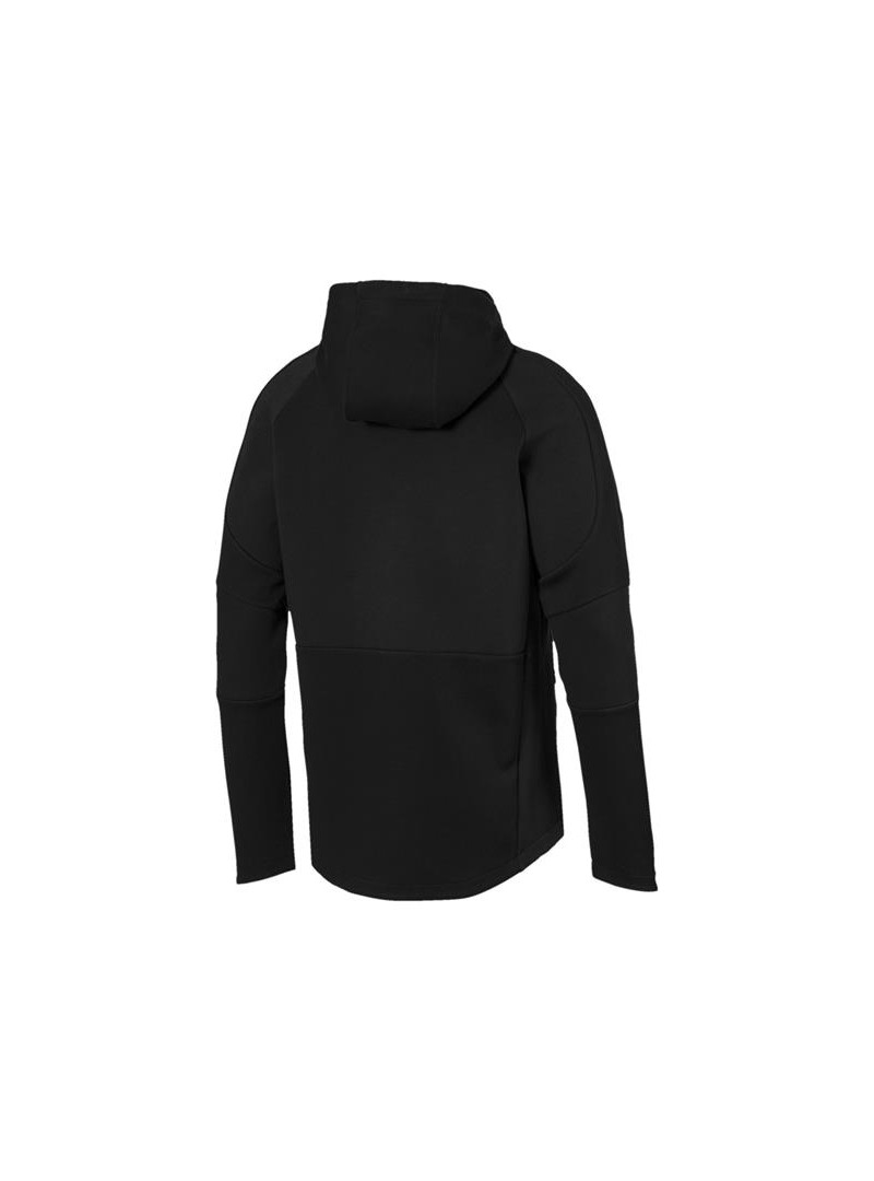 Puma EVOSTRIPE MOVE HOODY 85410701