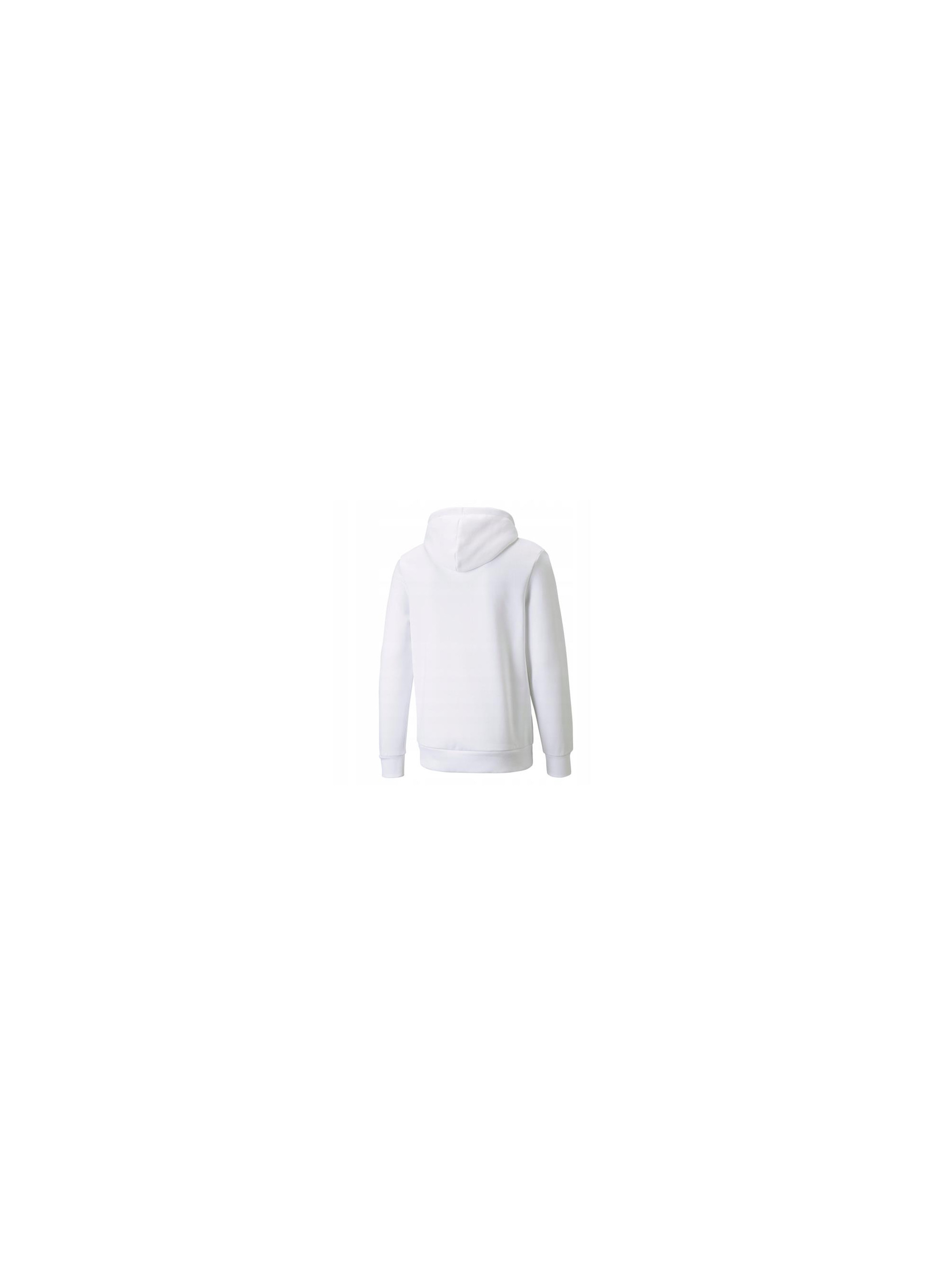 Puma BMW MMS ESS FLEECE 53225002