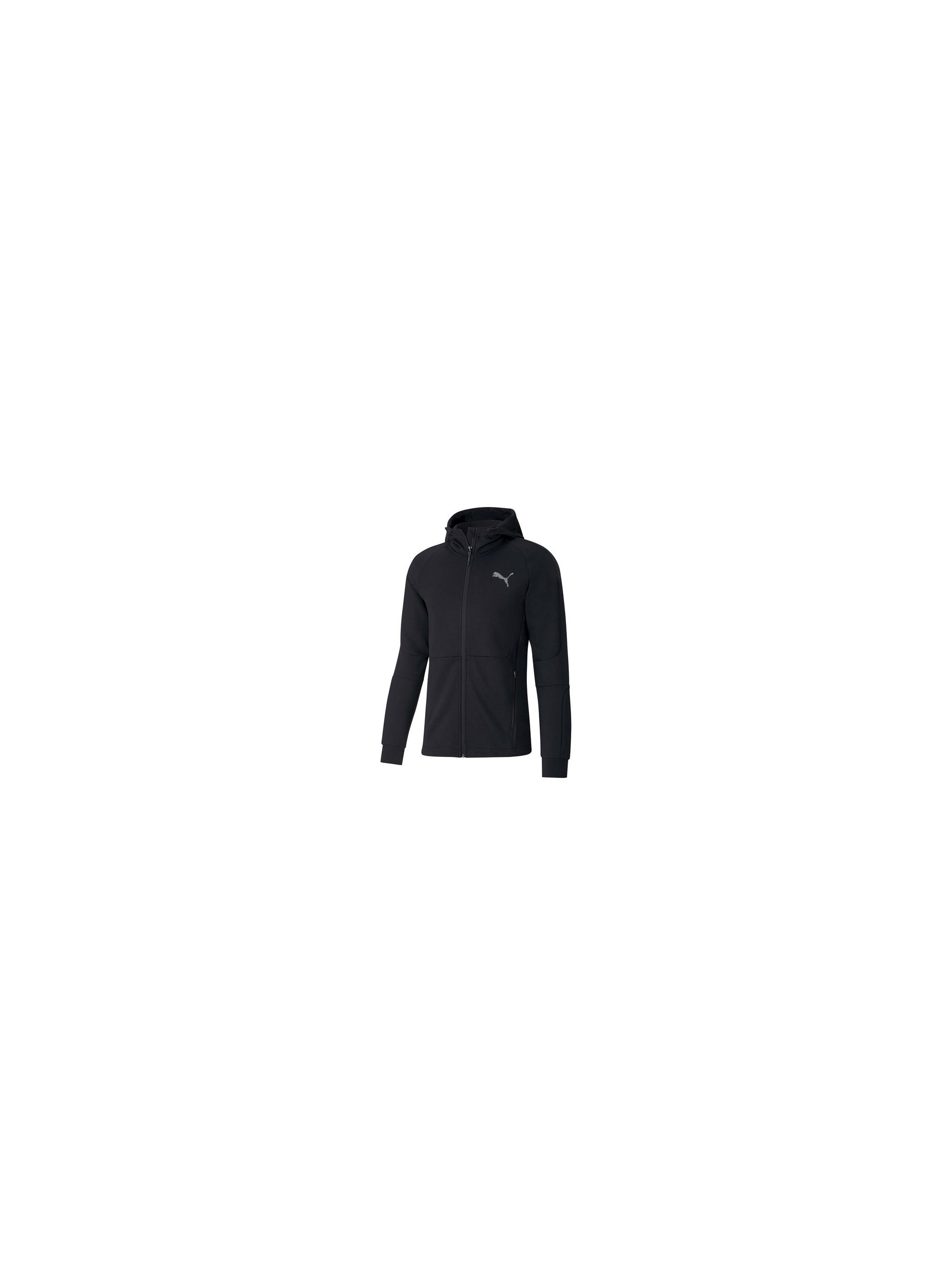 Puma EVOSTRIPE FZ HOODIE 58346701