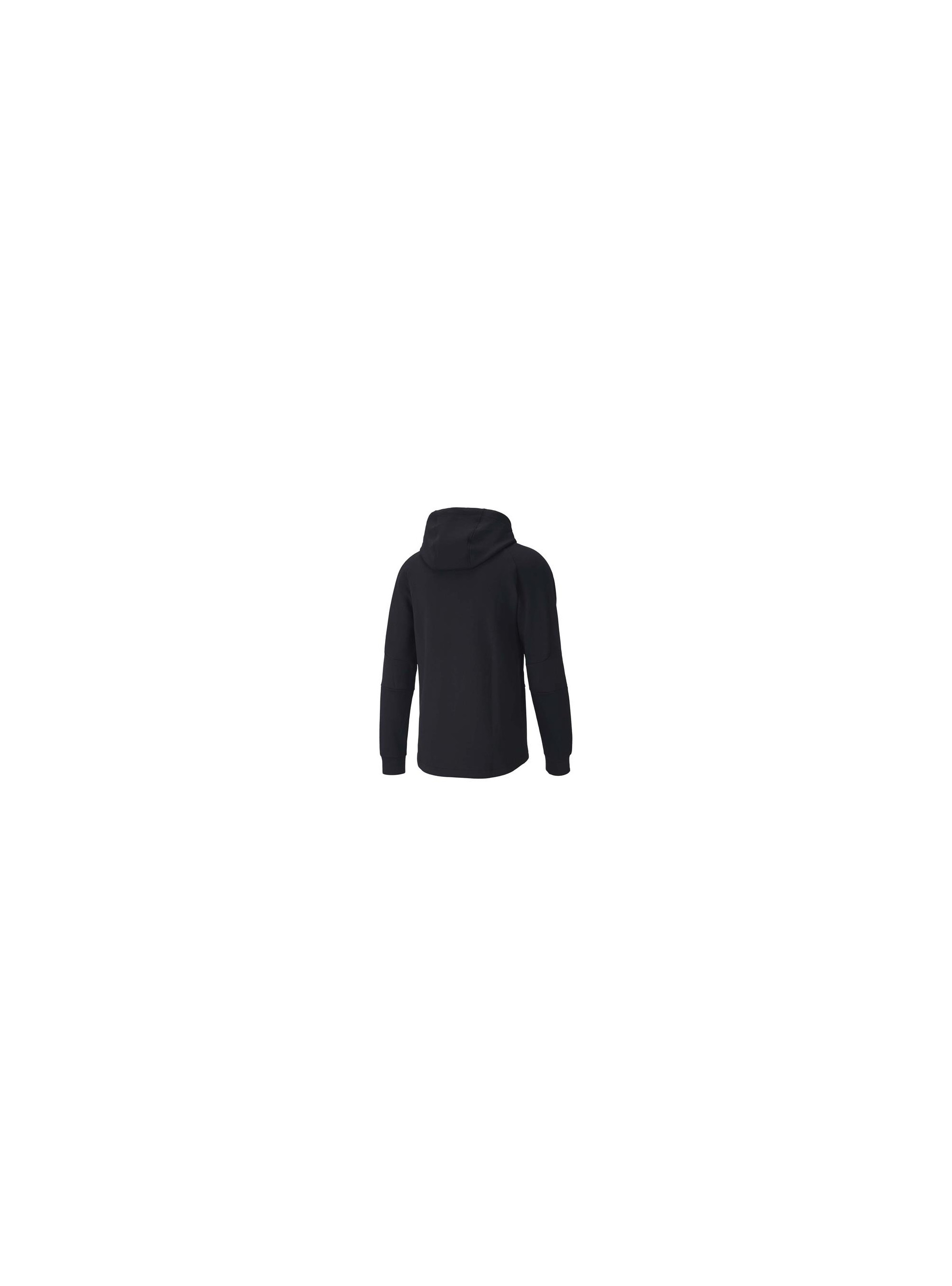 Puma EVOSTRIPE FZ HOODIE 58346701