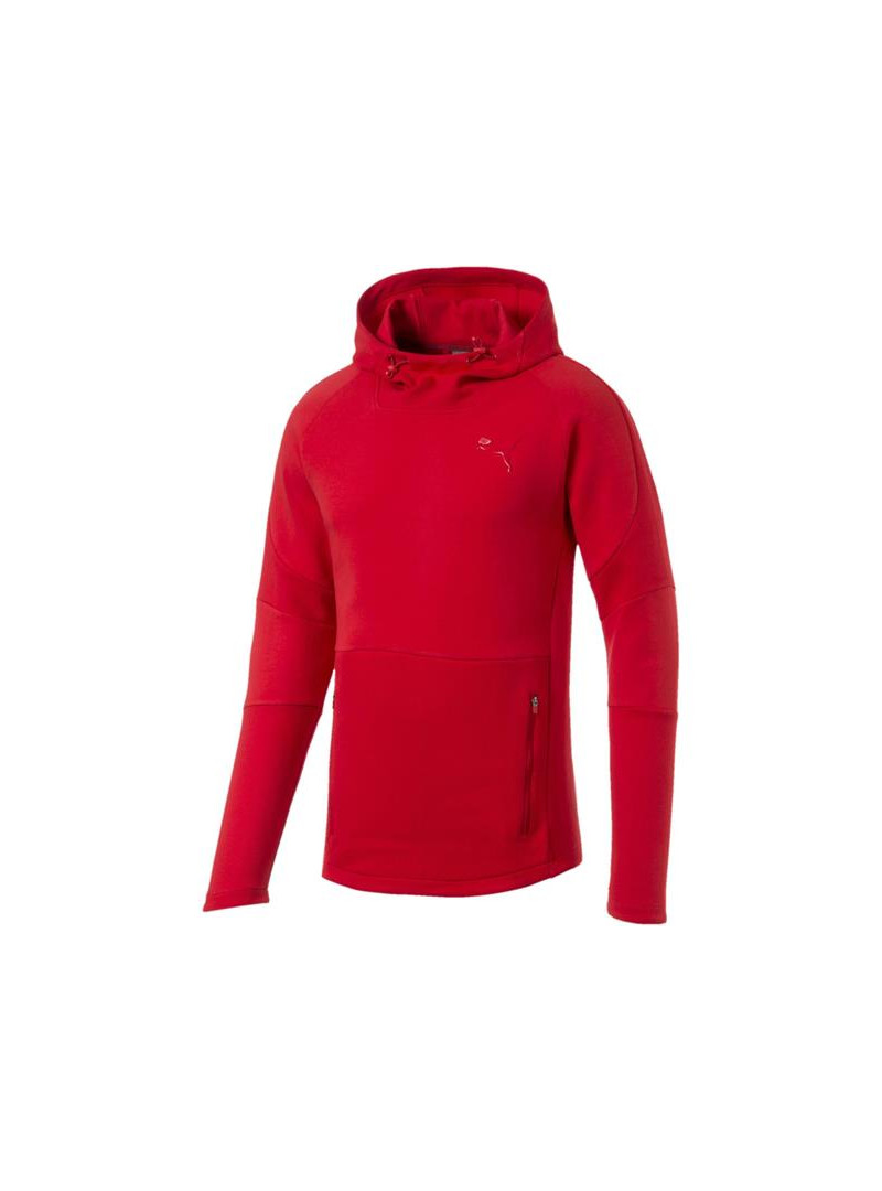 Puma EVOSTRIPE MOVE HOODY 85410711