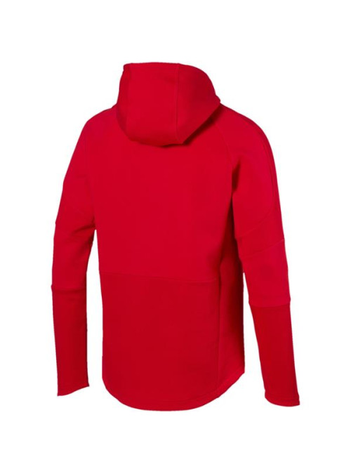 Puma EVOSTRIPE MOVE HOODY 85410711