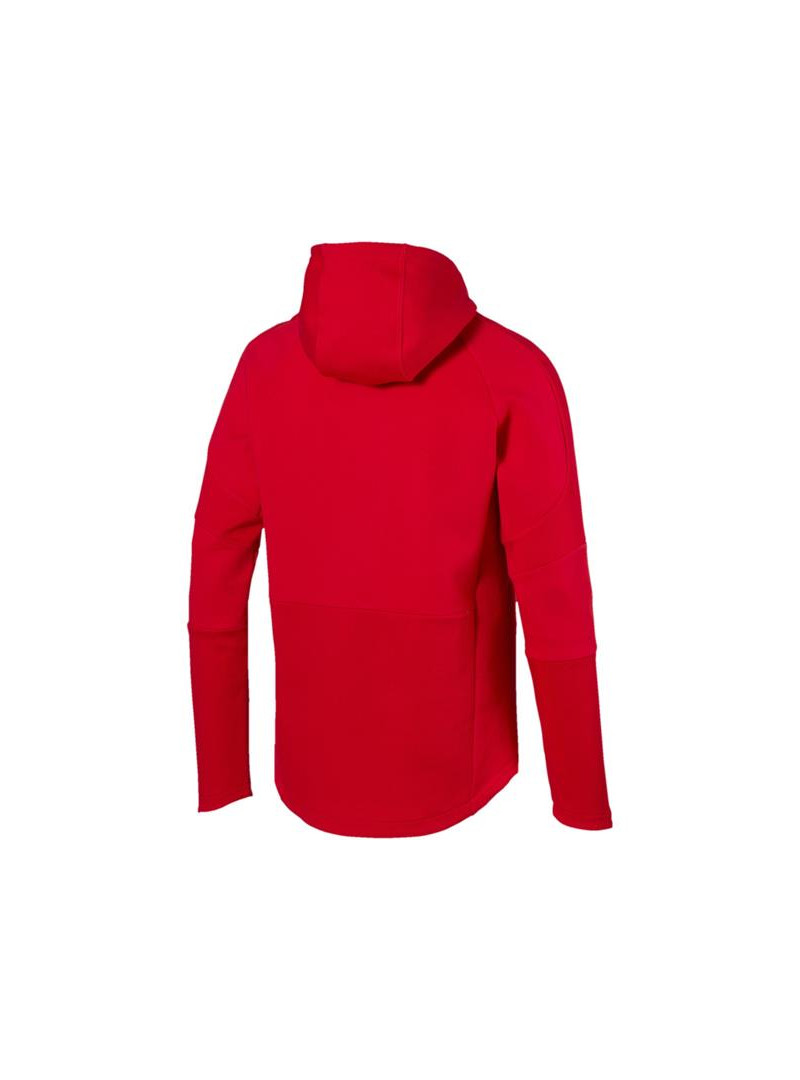 Puma EVOSTRIPE MOVE HOODY 85410711