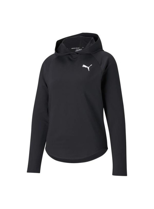 Puma ACTIVE HOODIE 58685801