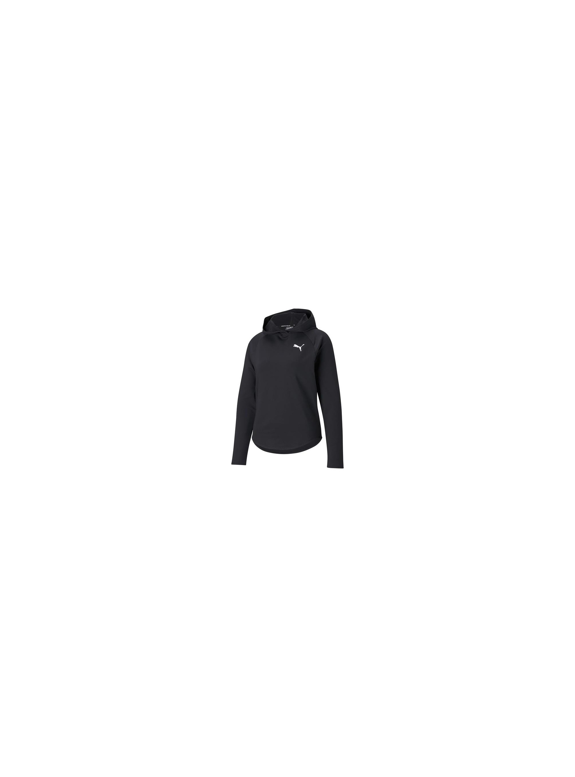 Puma ACTIVE HOODIE 58685801