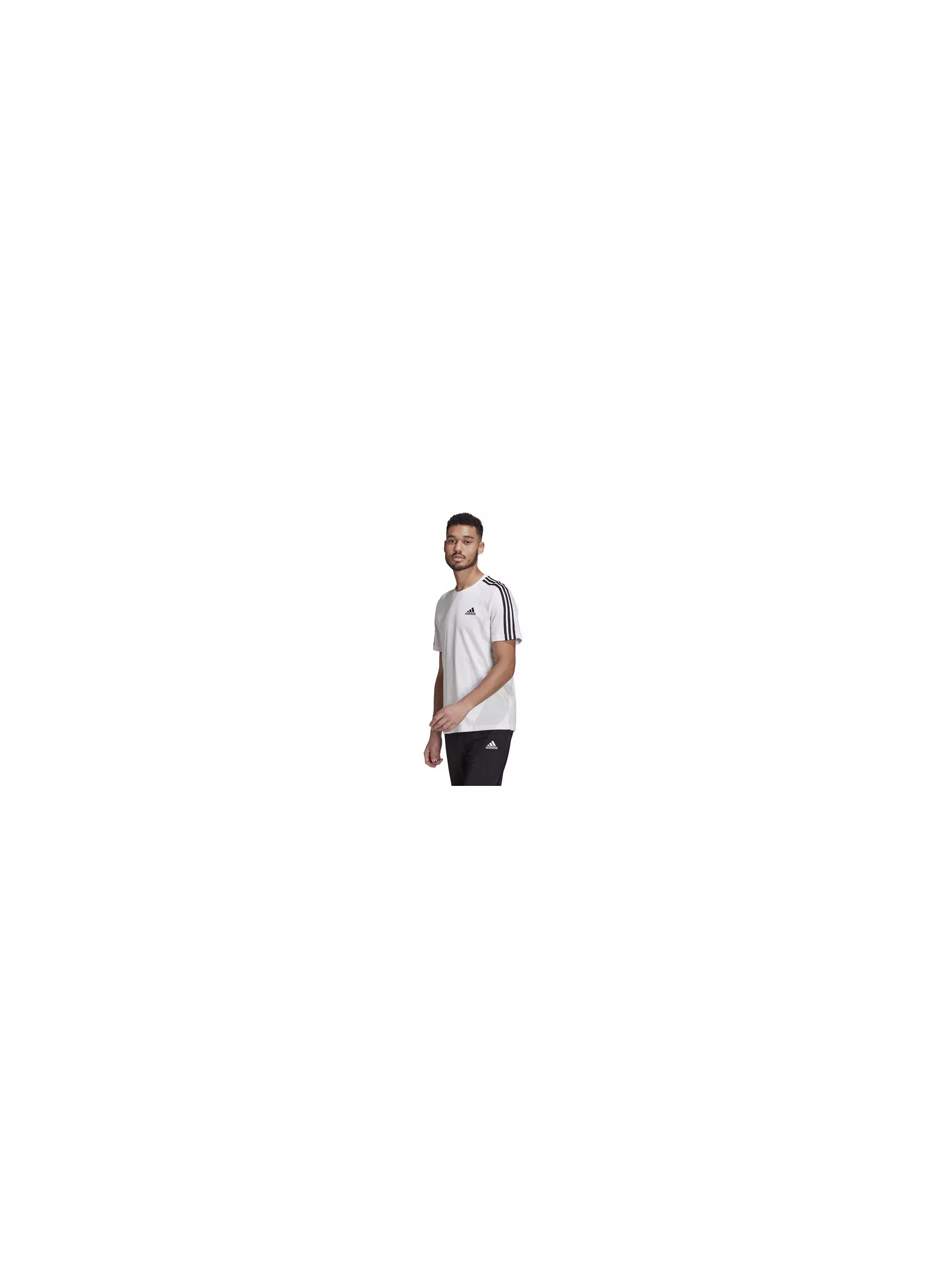 Adidas M 3S SJ T GL3733