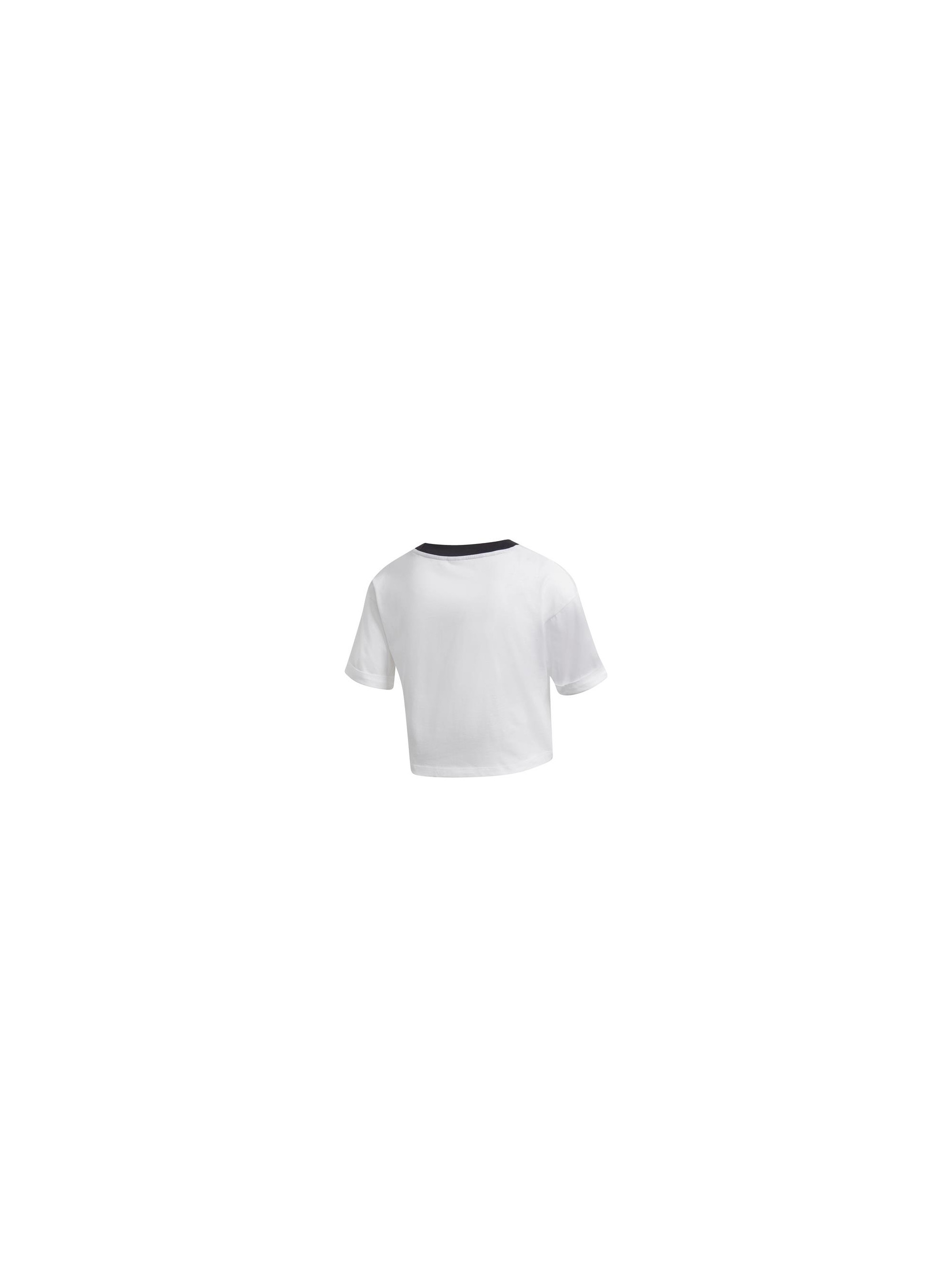 Adidas CROP TOP GD2359