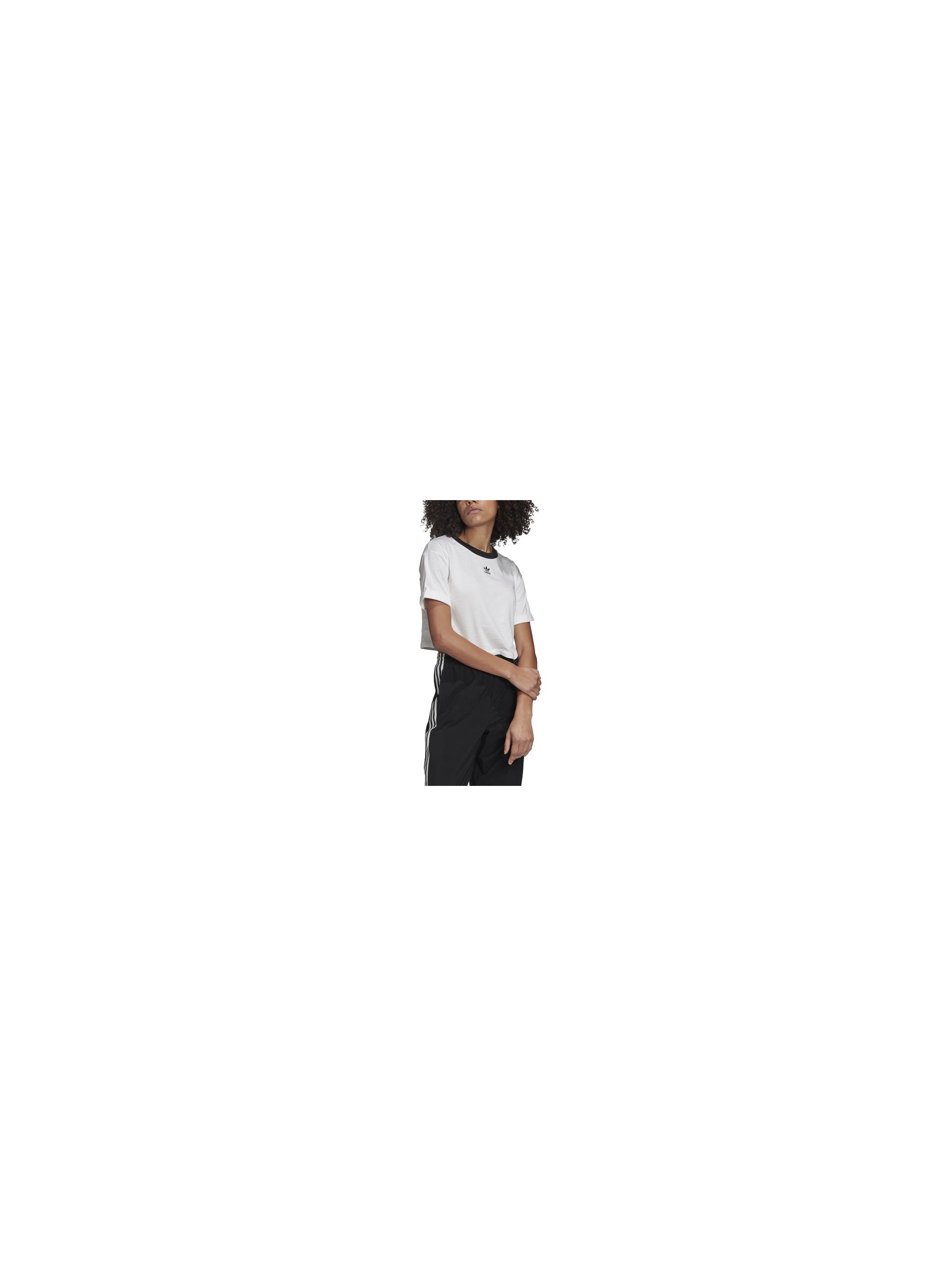 Adidas CROP TOP GD2359