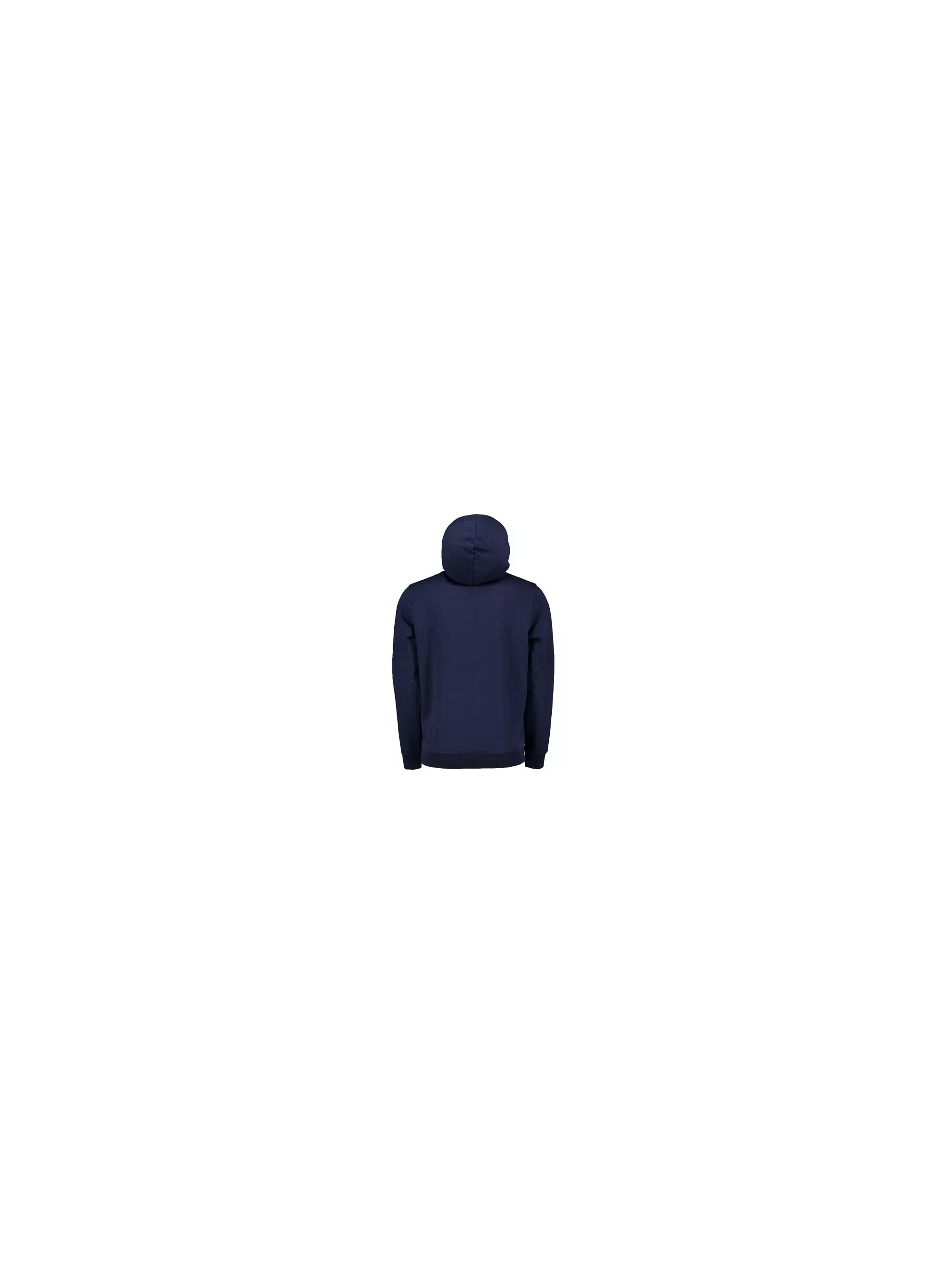 Champion HOODED SWEATSHIRT 214297BS503