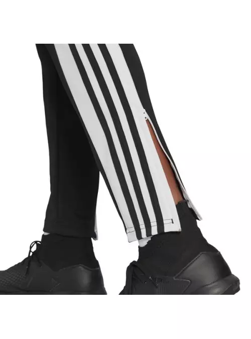 Adidas SQ21 TR PNT GK9545