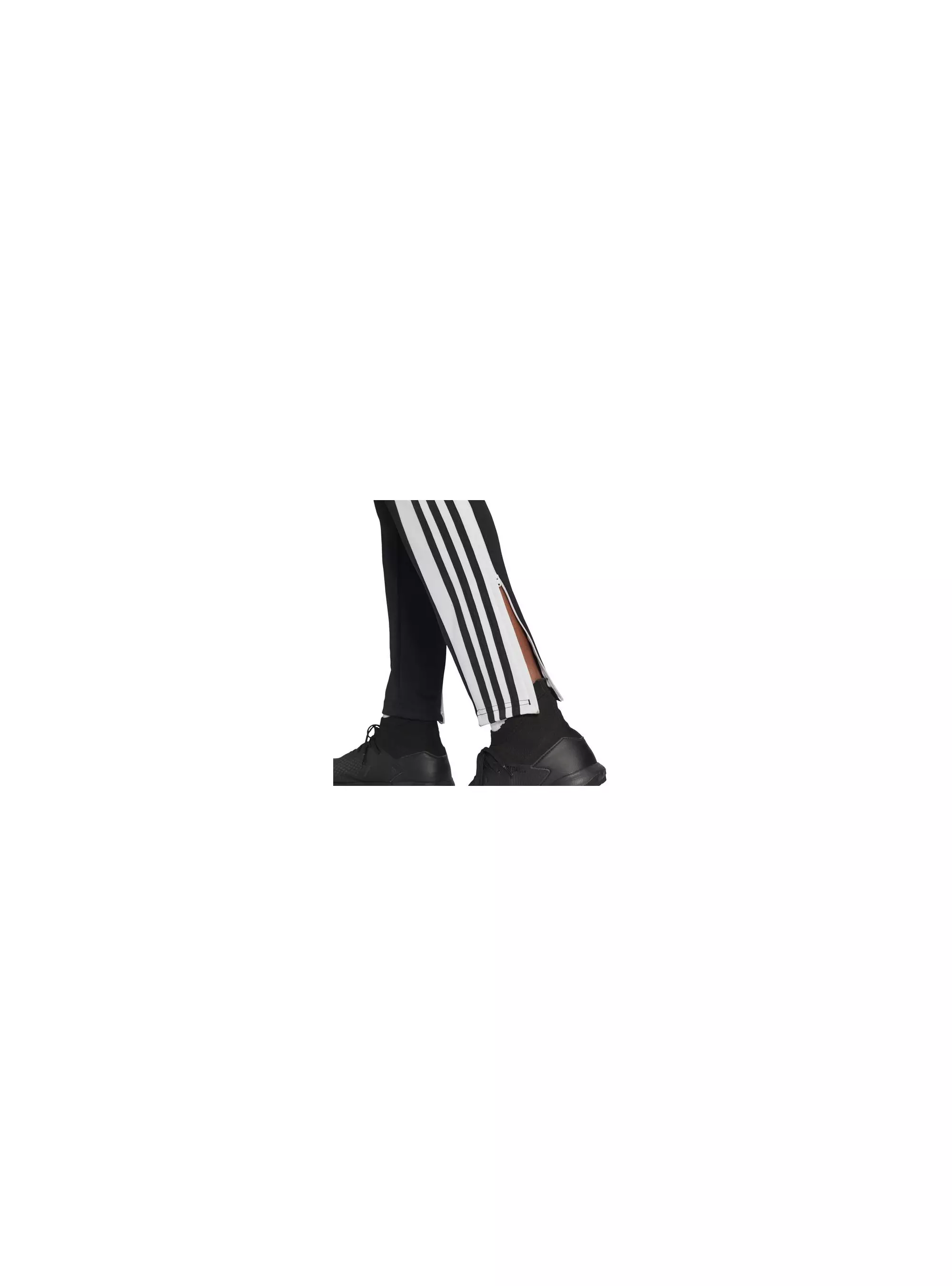 Adidas SQ21 TR PNT GK9545