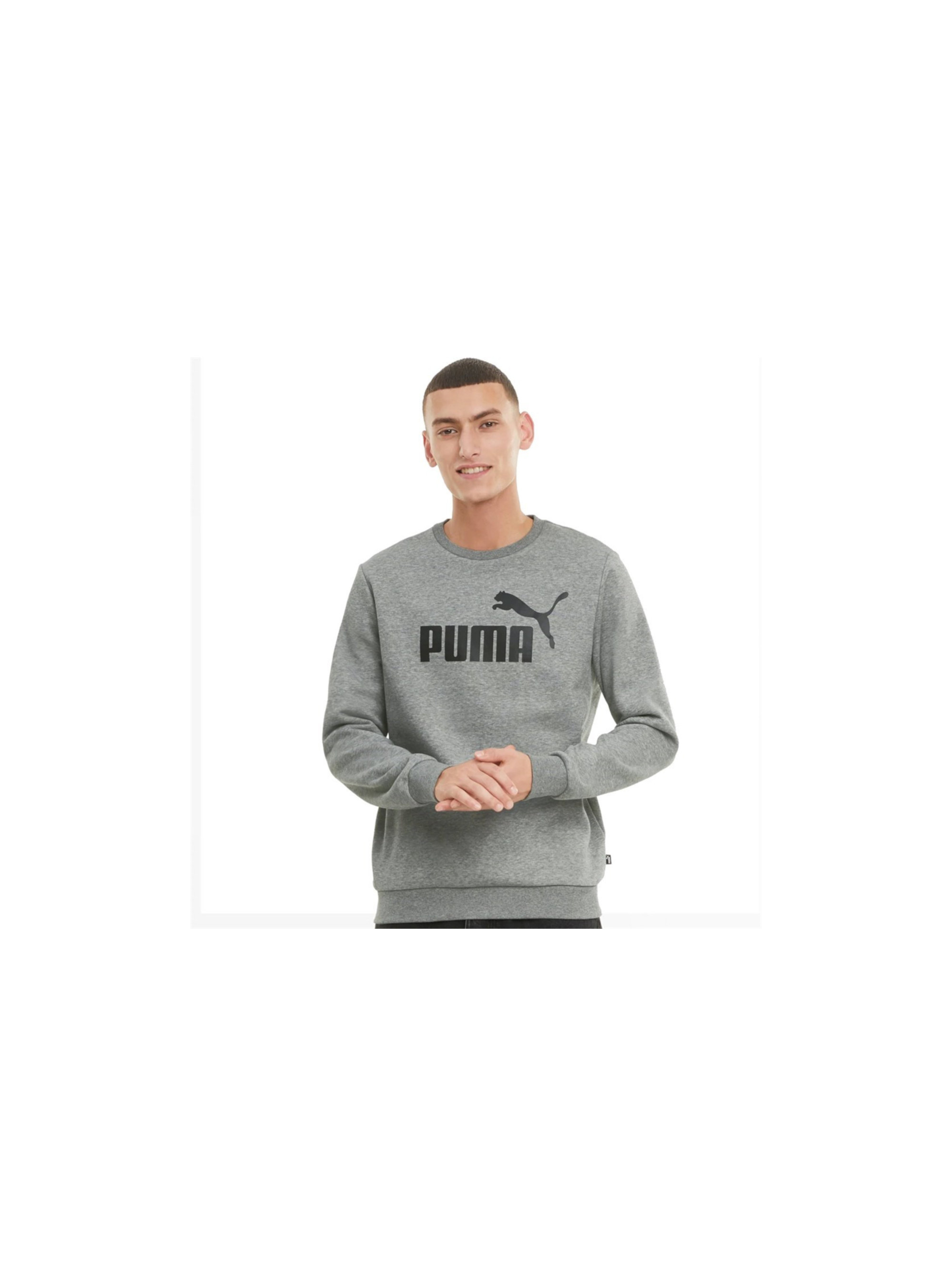 Puma ESS BIG LOGO CREW FL 58667803