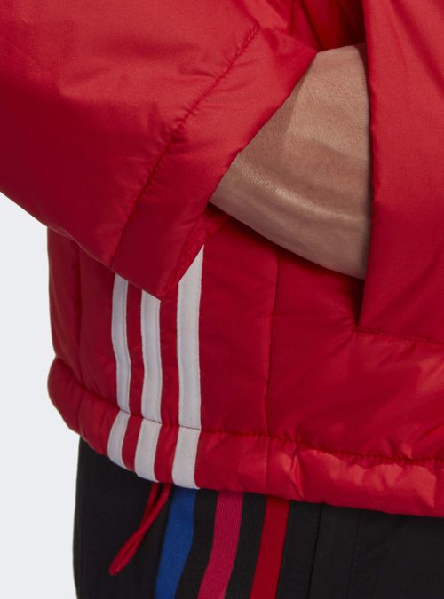 Adidas SHORT PUFFER GK8556 Adidas SHORT PUFFER GK8556