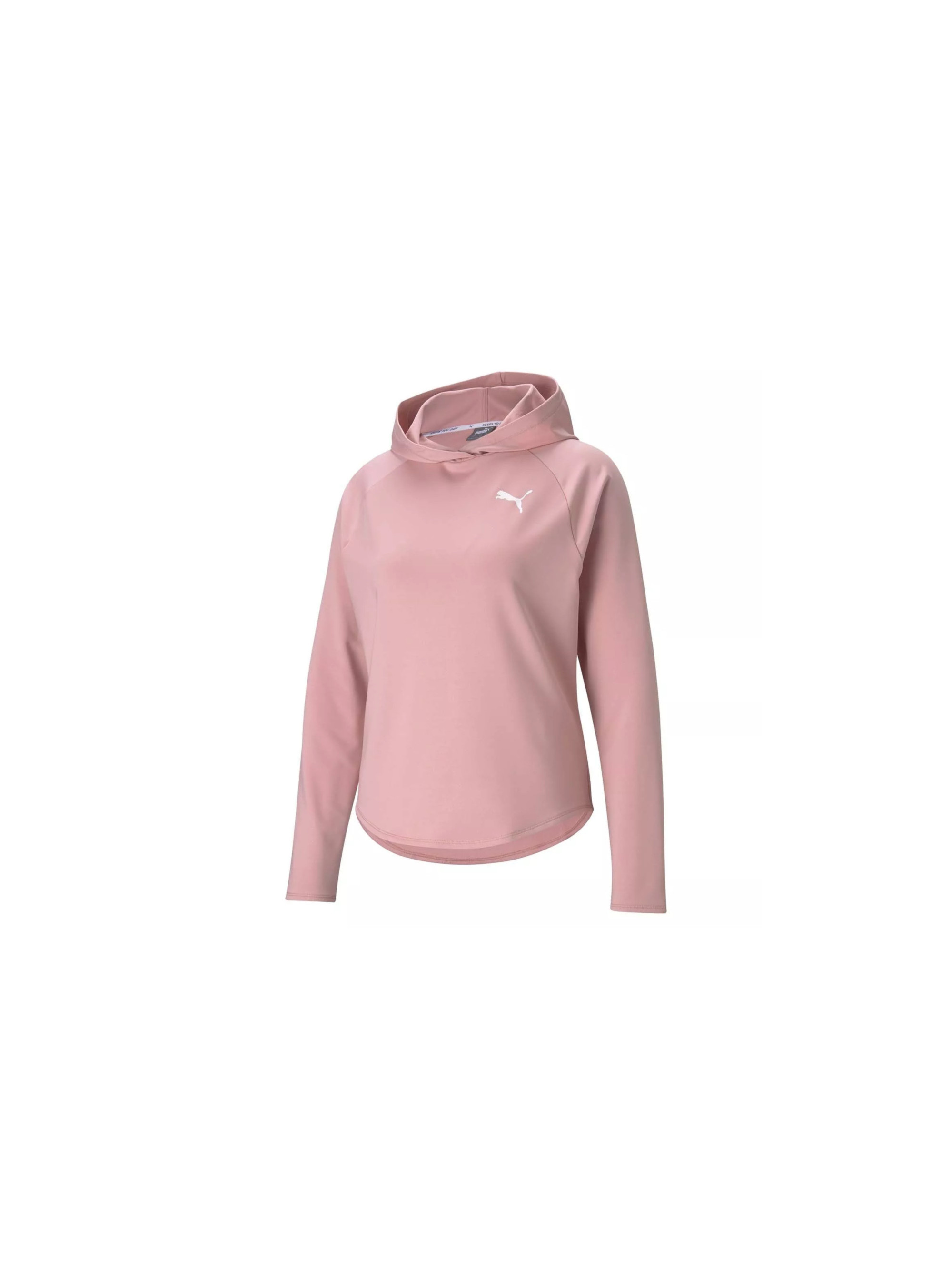 Puma ACTIVE HOODIE 58685880