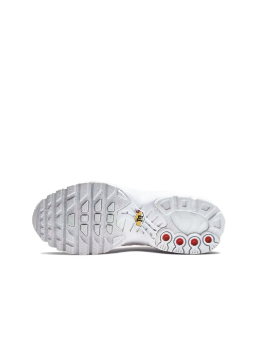 Nike AIR MAX PLUS (GS) CW7044100