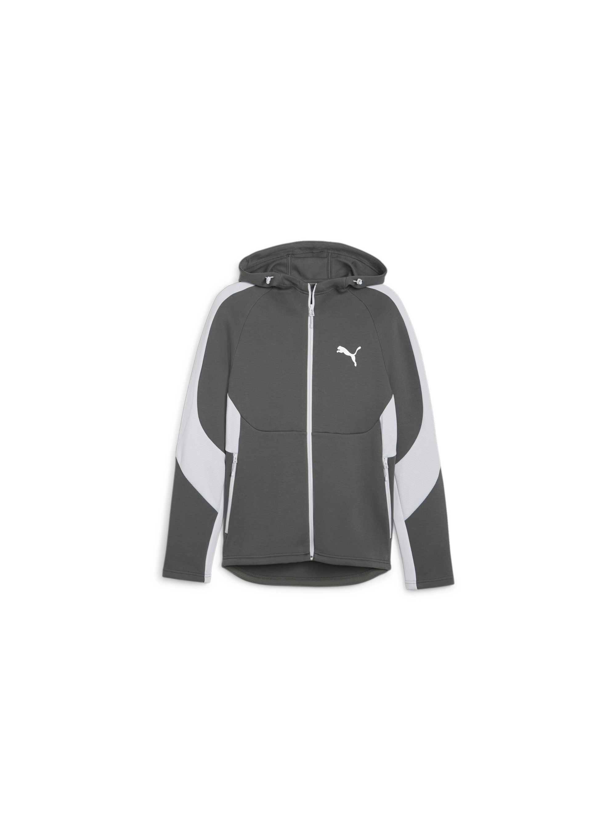 Puma EVOSTRIPE FULL-ZIP HOODIE 67899580