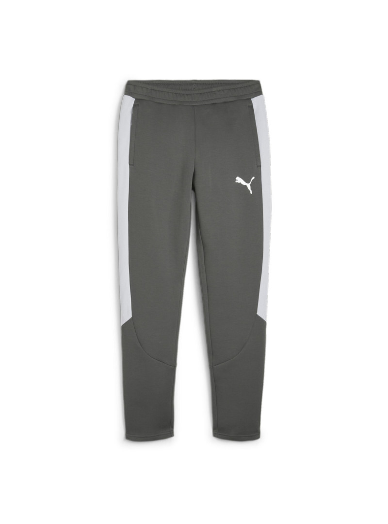 Puma EVOSTRIPE PANTS DK 67899780