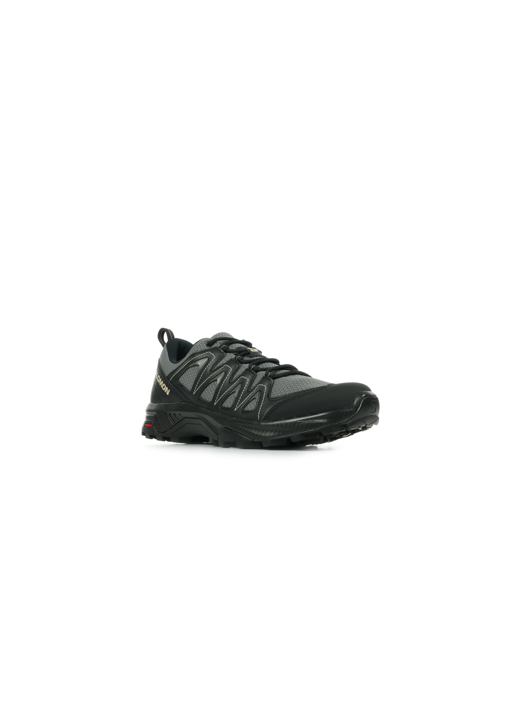 Salomon X BRAZE L47180000
