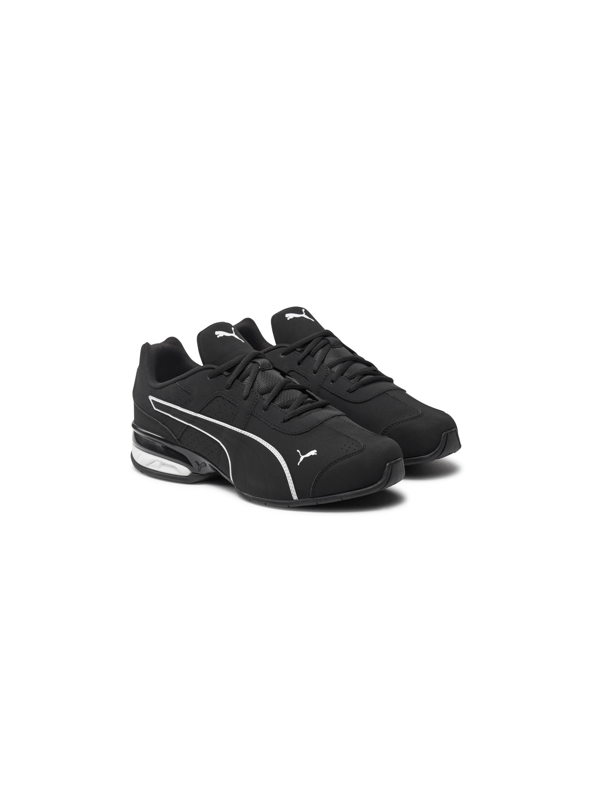 Puma TAZON 7 EVO 31037803